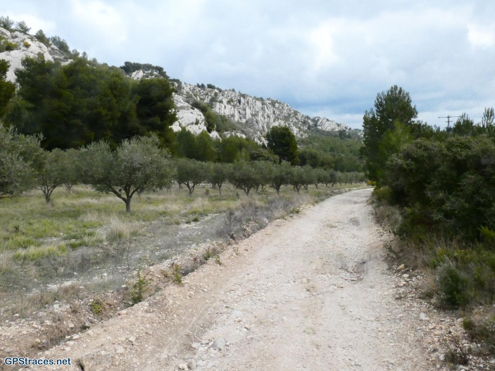Bouches du Rhône-Alpilles - Mouriès - Aureille–5