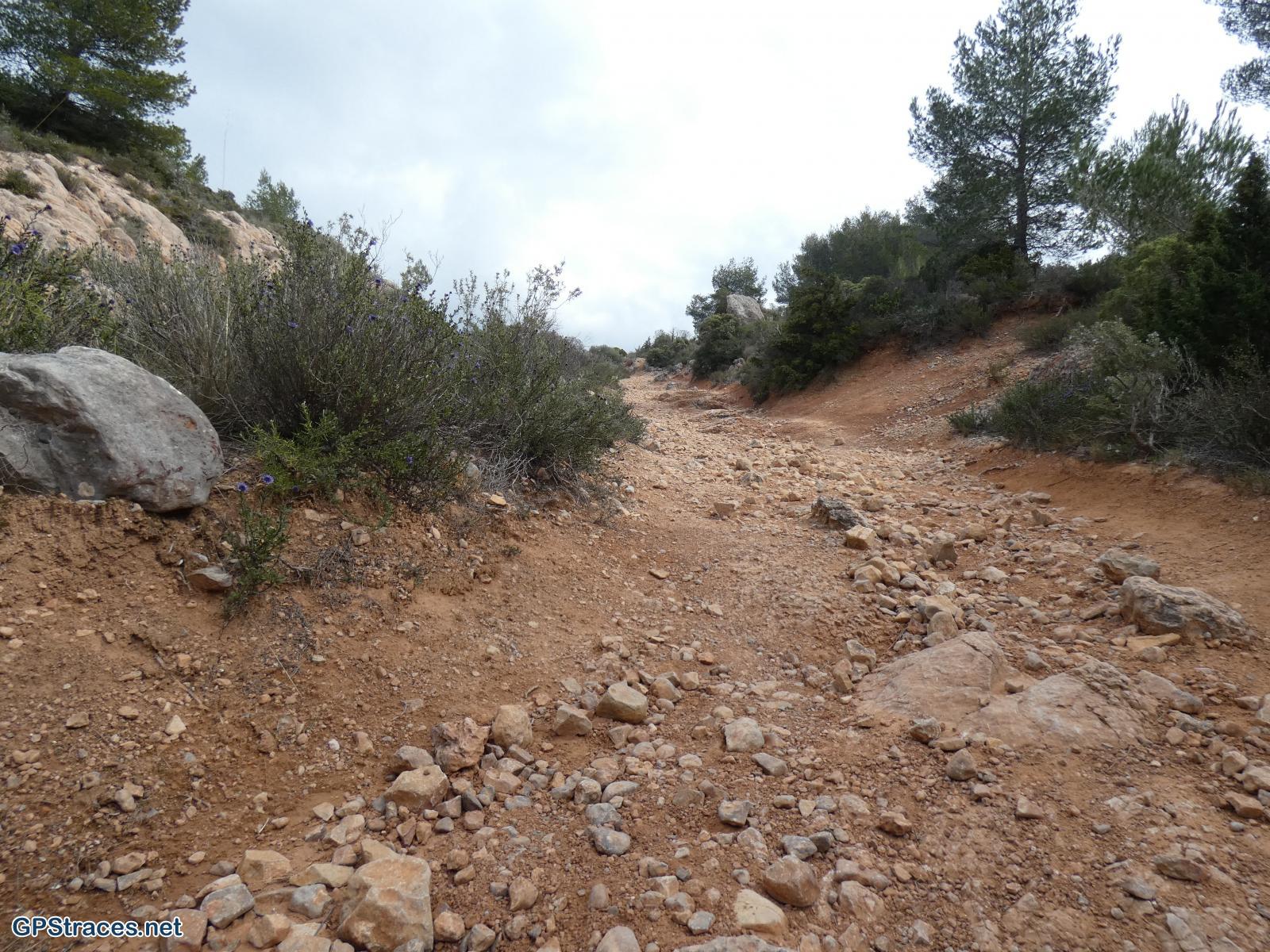 Bouches du Rhône-Alpilles - Mouriès - Aureille–7