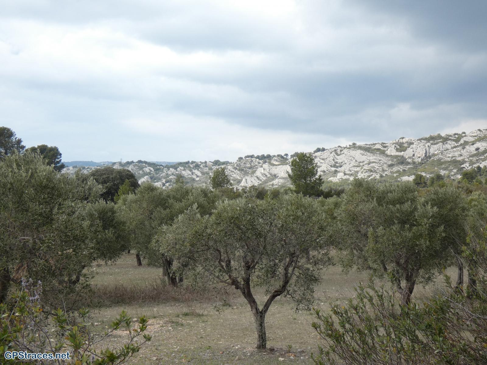 Bouches du Rhône-Alpilles - Mouriès - Aureille–11