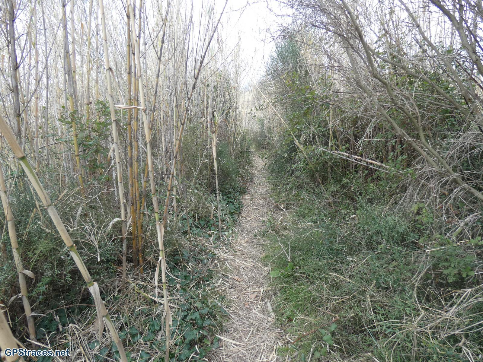 Bouches du Rhône-Alpilles - Mouriès - Aureille–14