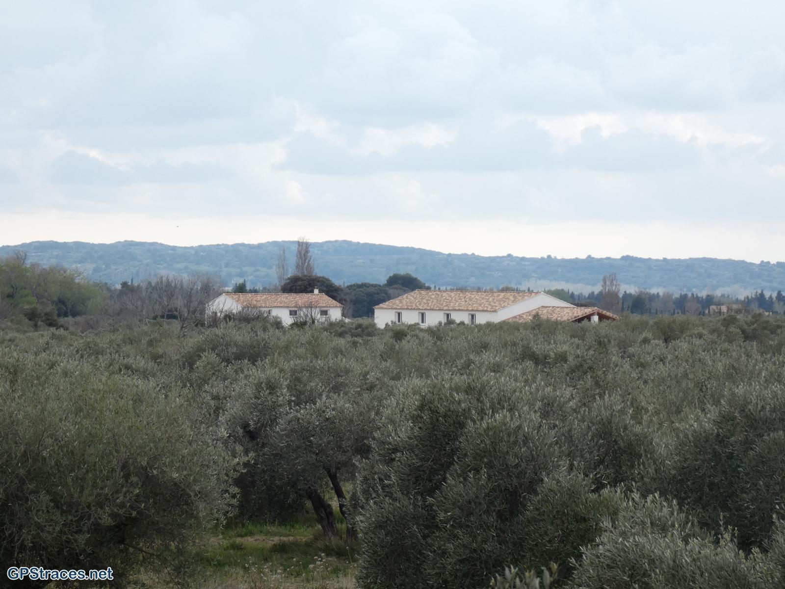 Bouches du Rhône-Alpilles - Mouriès - Aureille–17