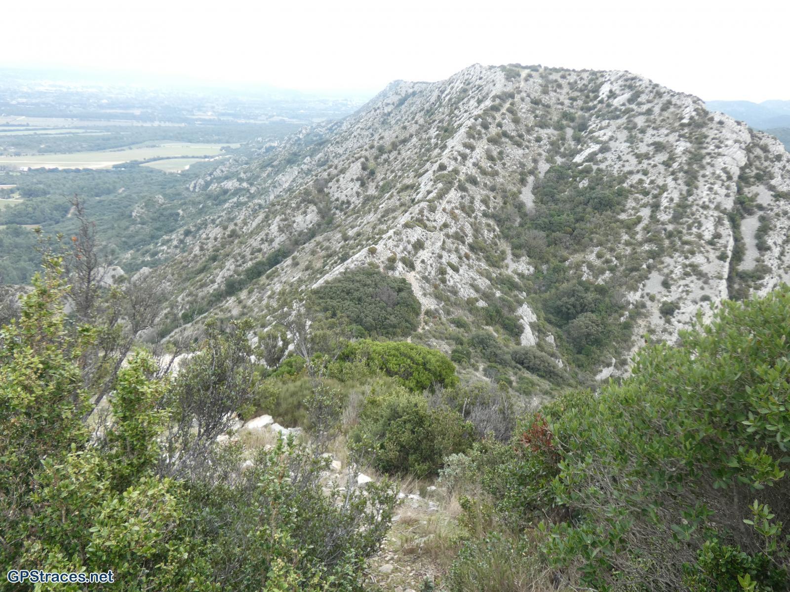 Bouches du Rhône-Alpilles - Plateau de la Caume–7