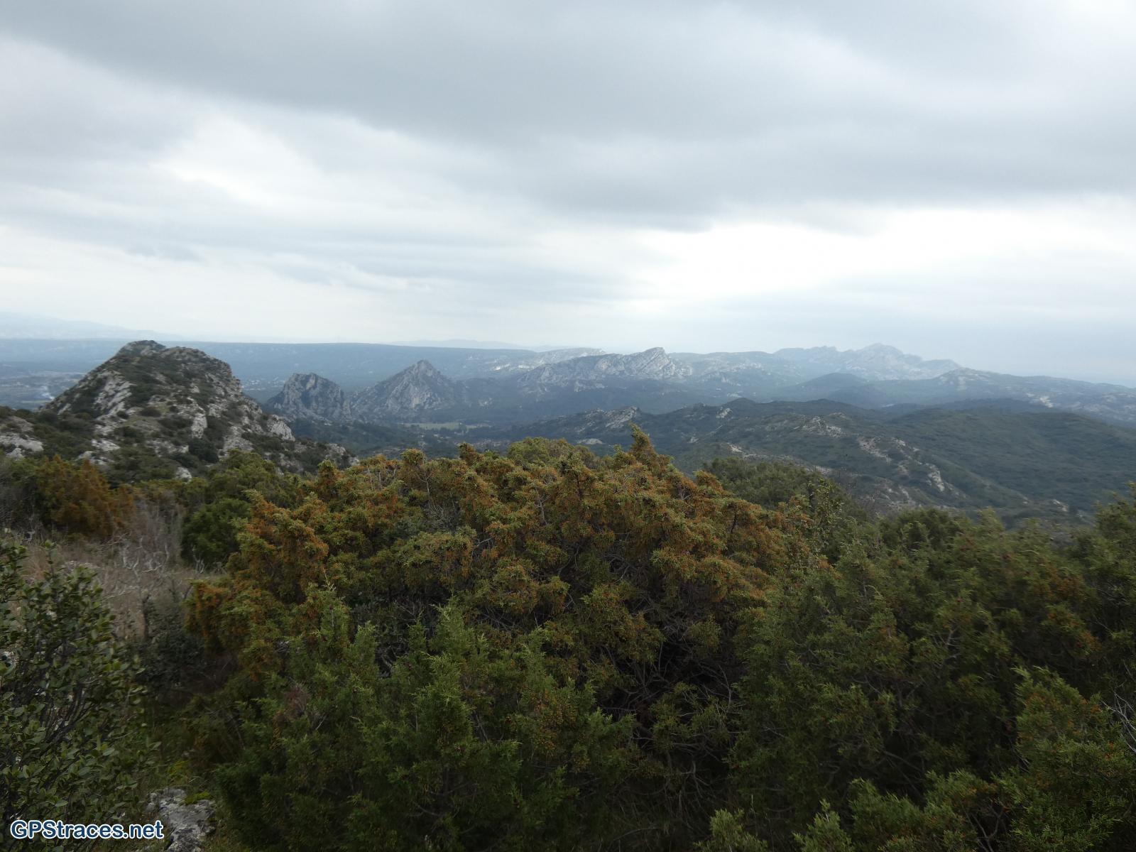 Bouches du Rhône-Alpilles - Plateau de la Caume–8