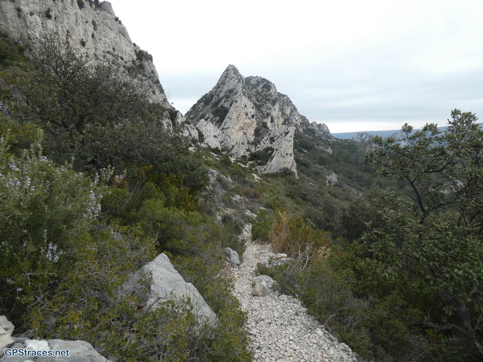 Bouches du Rhône-Alpilles - Plateau de la Caume–9