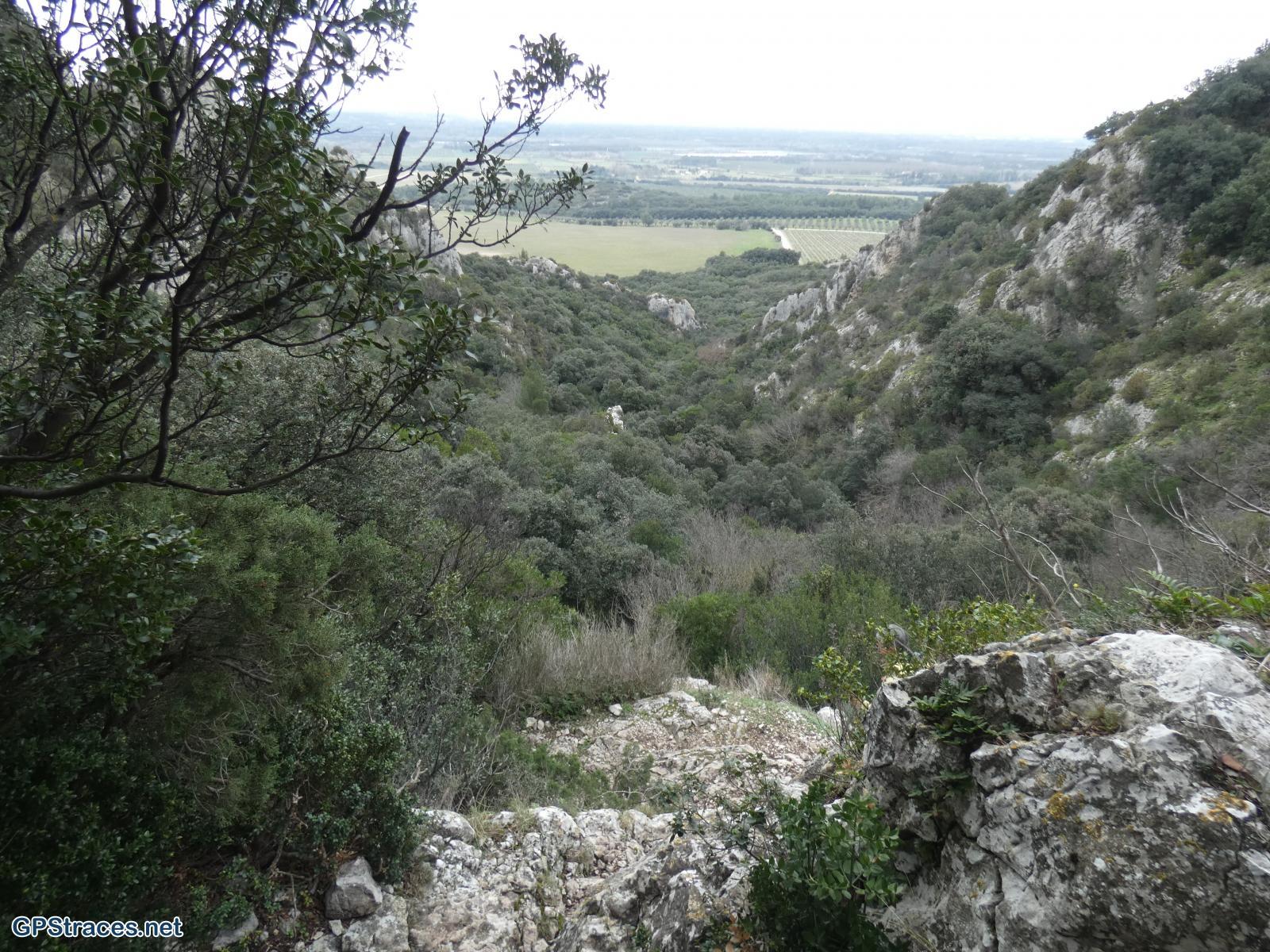 Bouches du Rhône-Alpilles - Plateau de la Caume–11