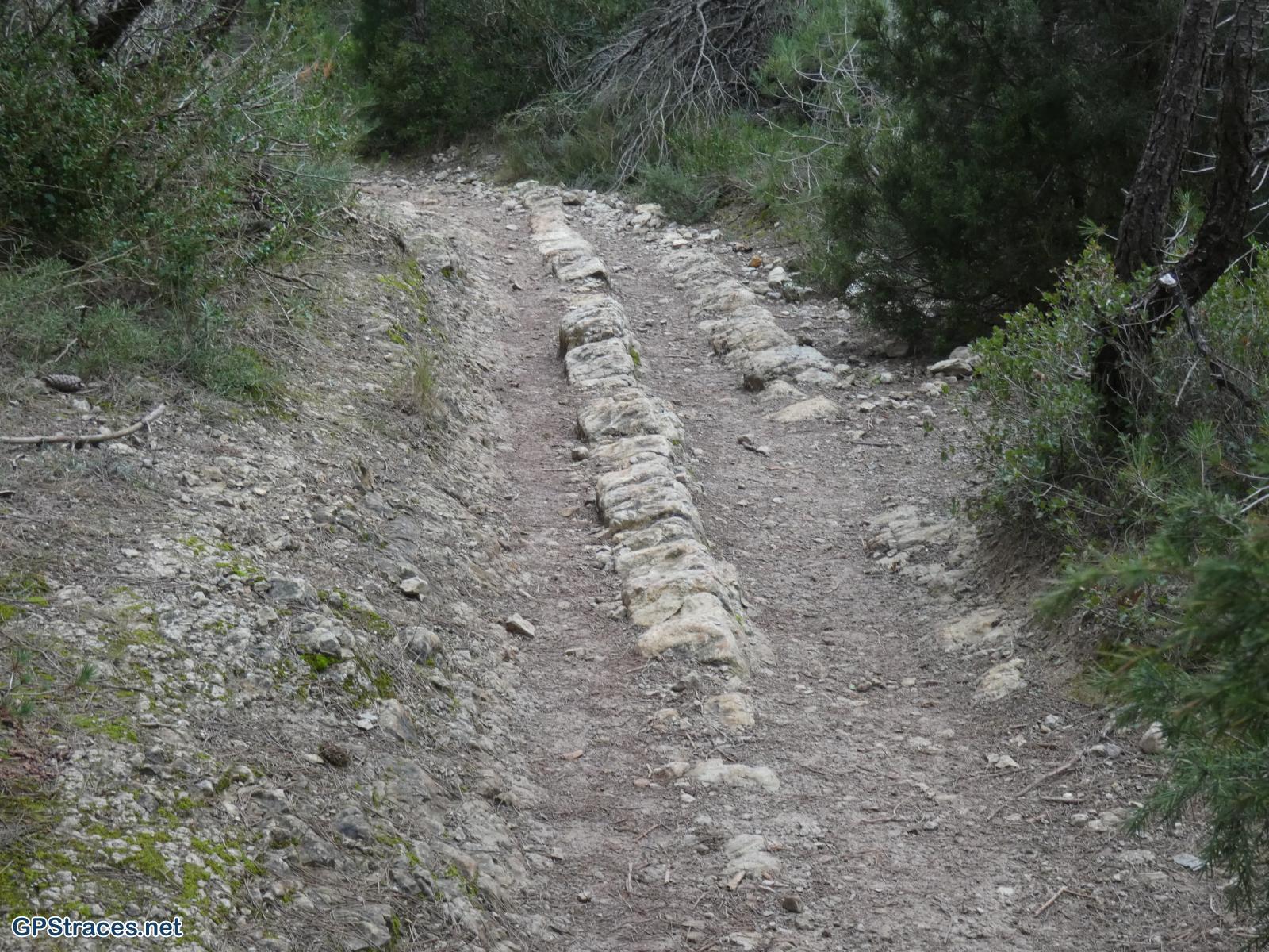 Bouches du Rhône-Alpilles - Plateau de la Caume–13