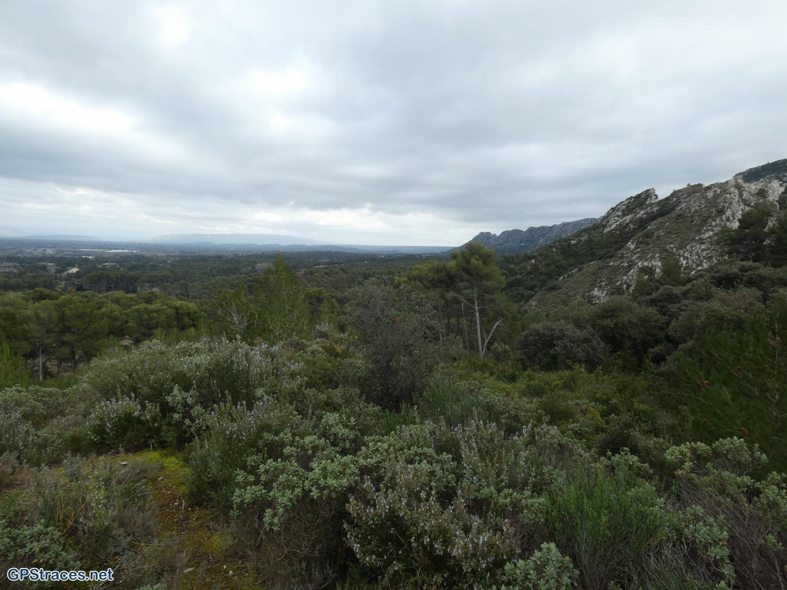Bouches du Rhône-Alpilles - Plateau de la Caume–15