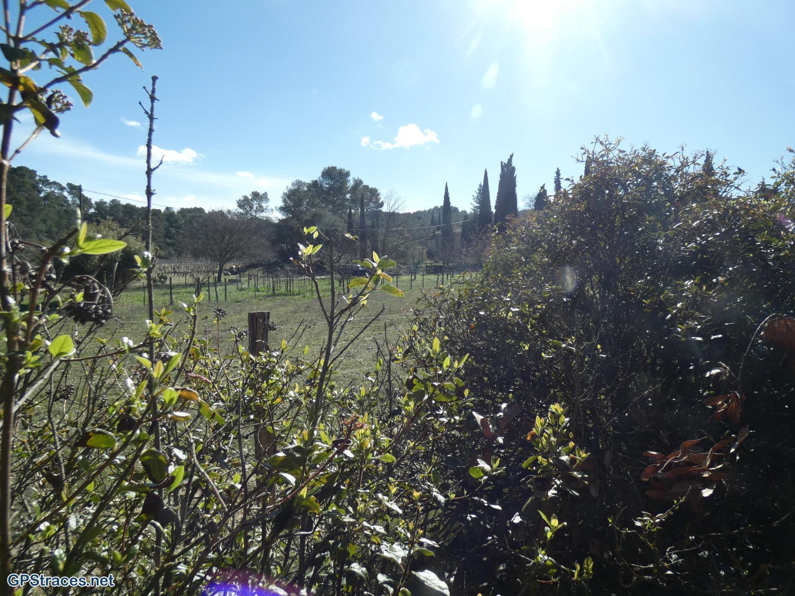 Bouches du Rhône-Alpilles - Les Quatre Cantons–0