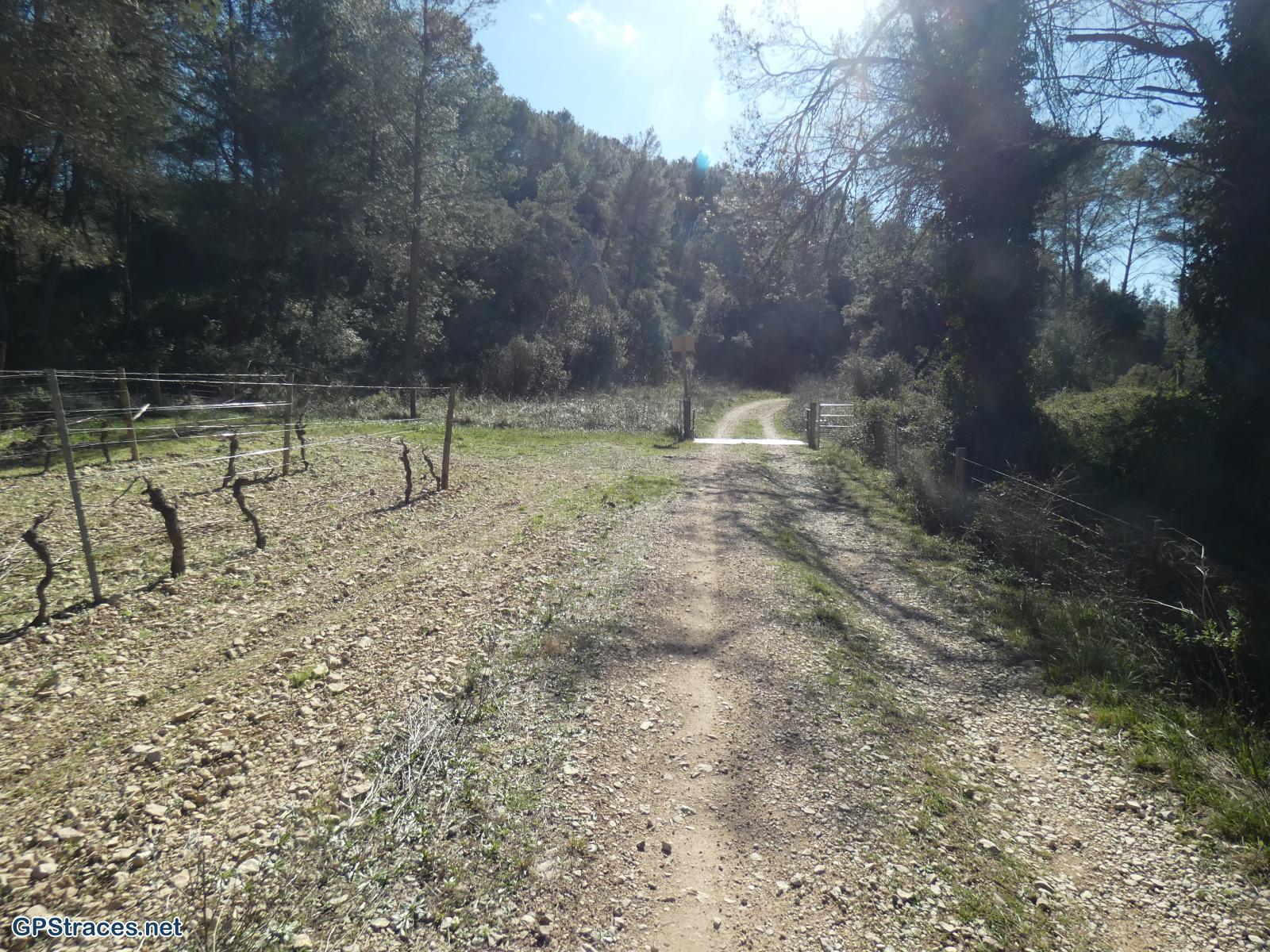 Bouches du Rhône-Alpilles - Les Quatre Cantons–1