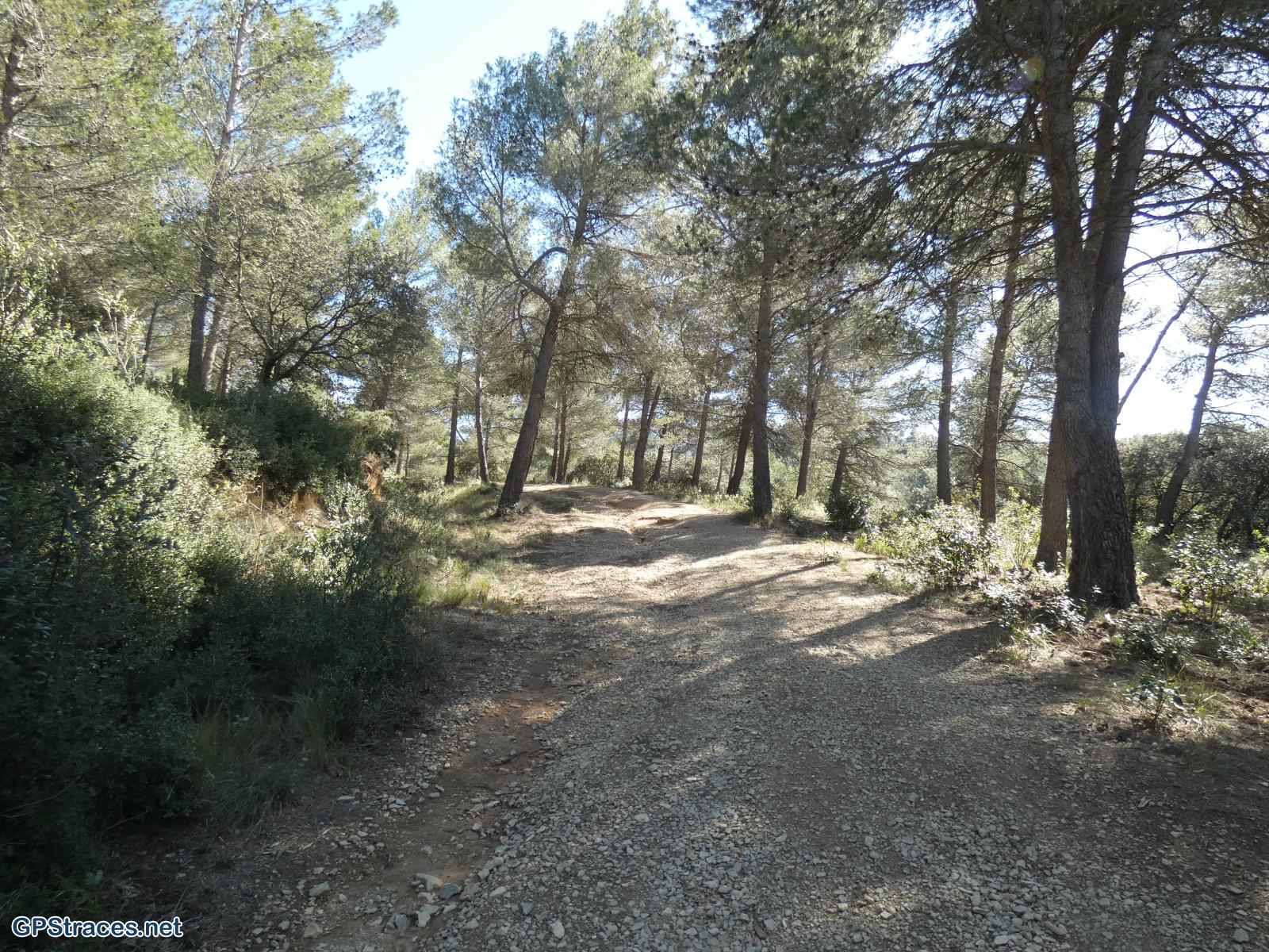 Bouches du Rhône-Alpilles - Les Quatre Cantons–7