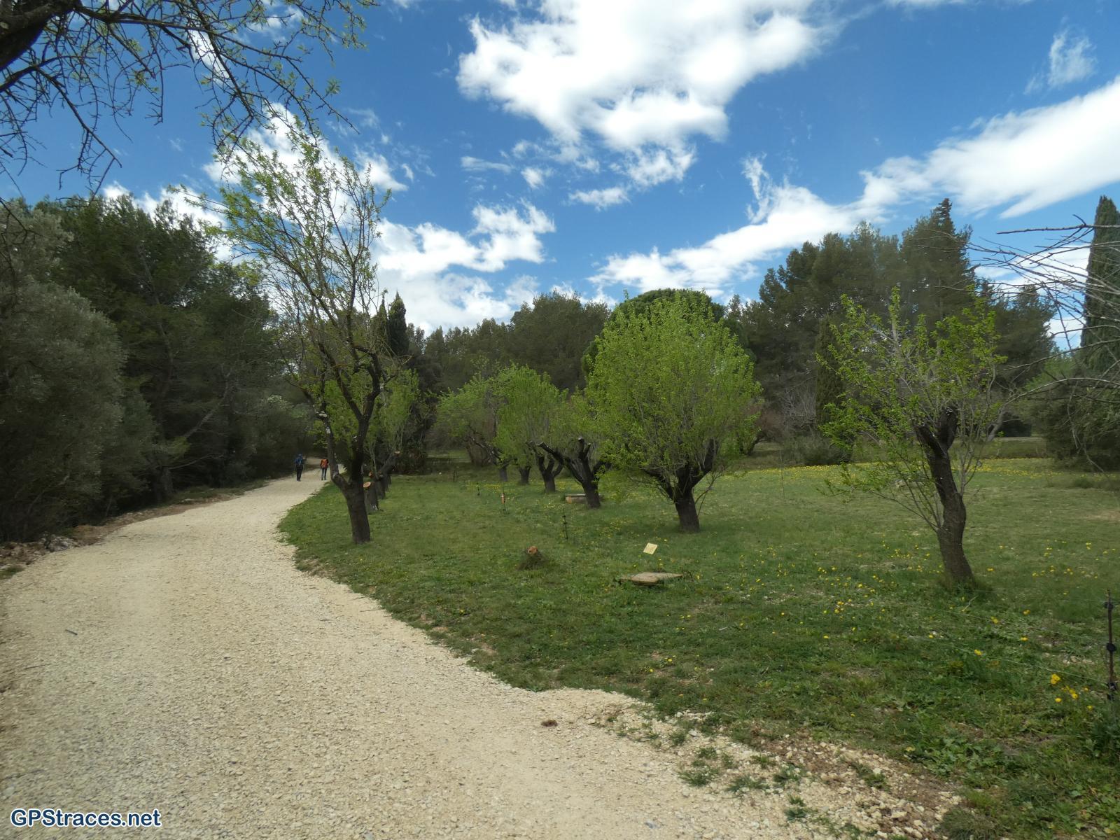 Bouches du Rhône-Alpilles - Rochers de la Pène - Oppidum des tours de Castillon–2