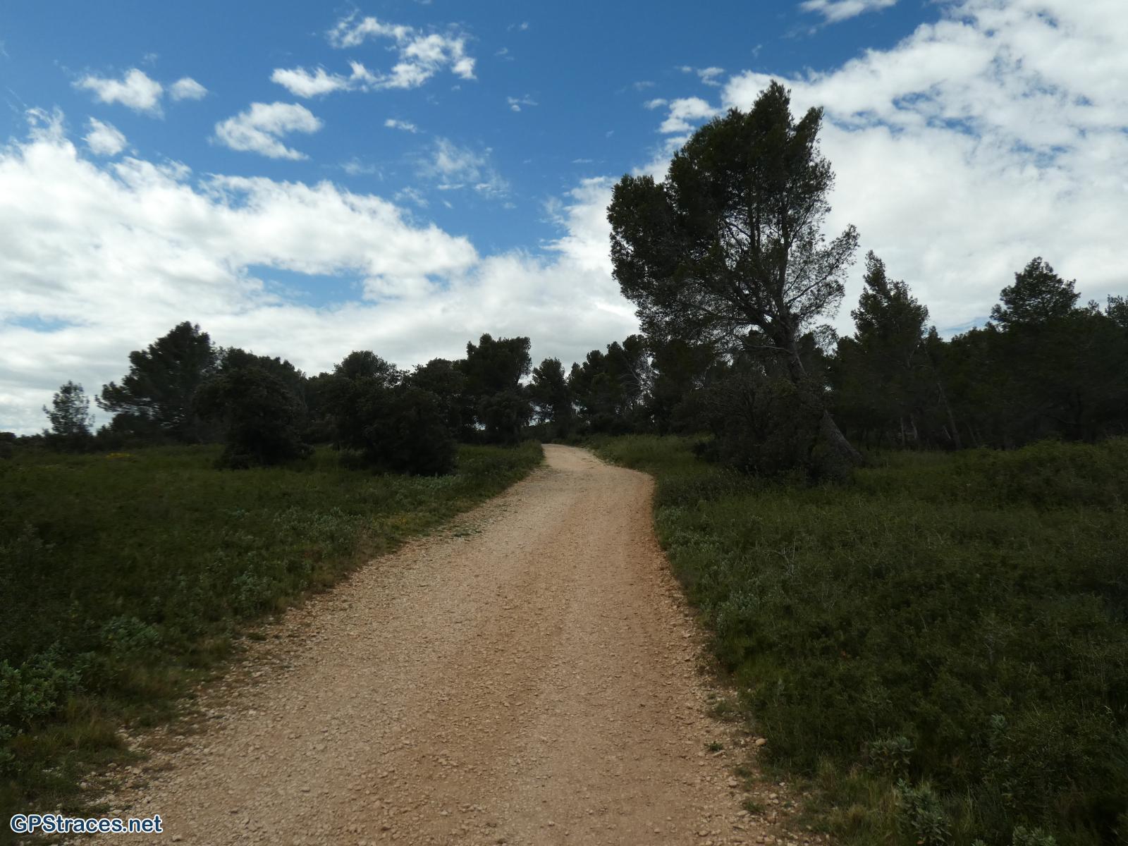 Bouches du Rhône-Alpilles - Rochers de la Pène - Oppidum des tours de Castillon–7