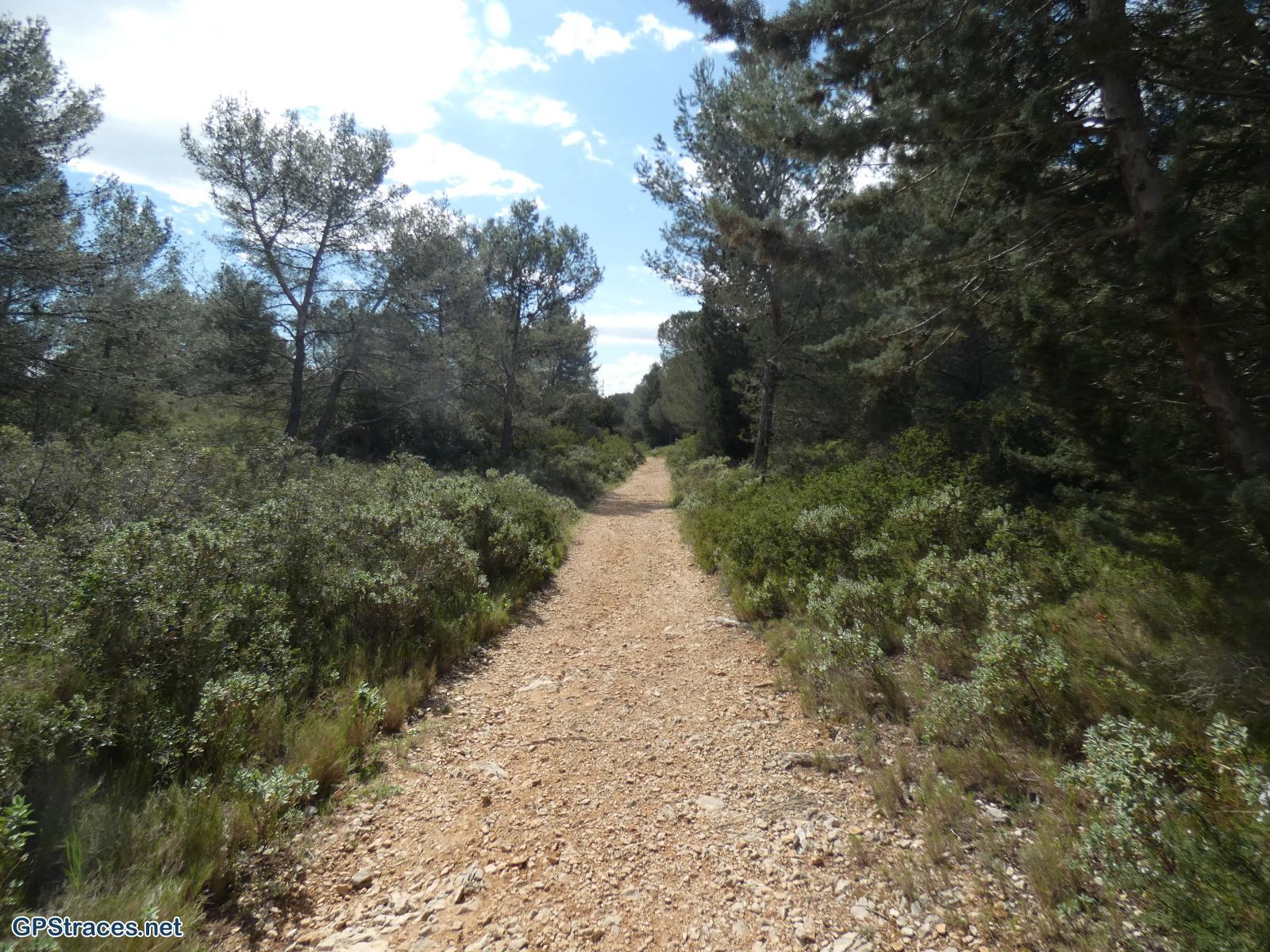 Bouches du Rhône-Alpilles - Rochers de la Pène - Oppidum des tours de Castillon–8