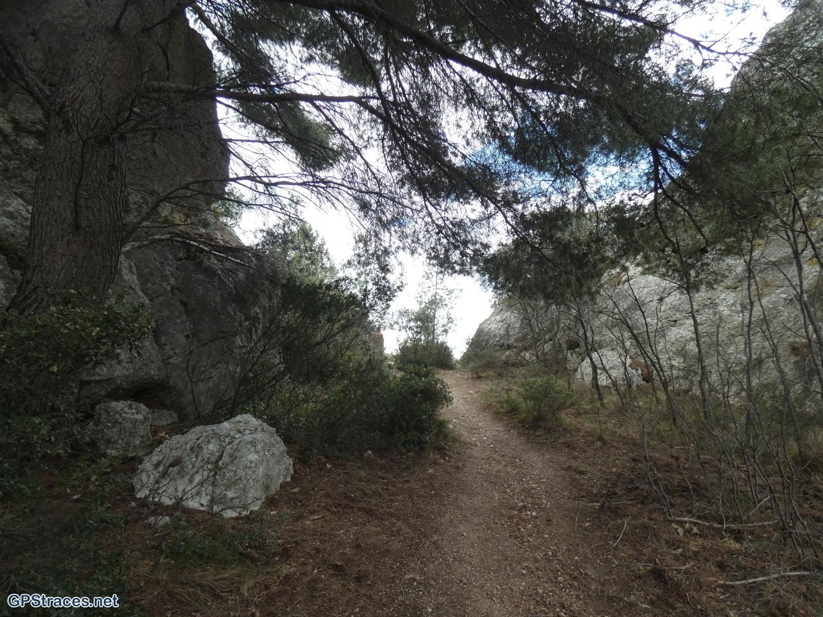 Bouches du Rhône-Alpilles - Rochers de la Pène - Oppidum des tours de Castillon–14