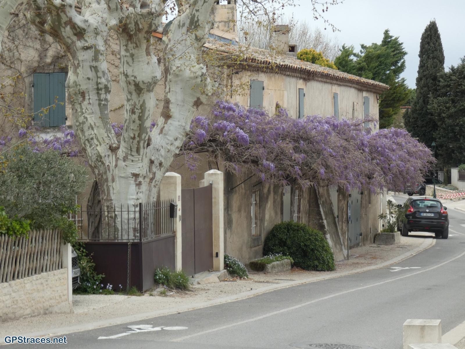 Le Paradou