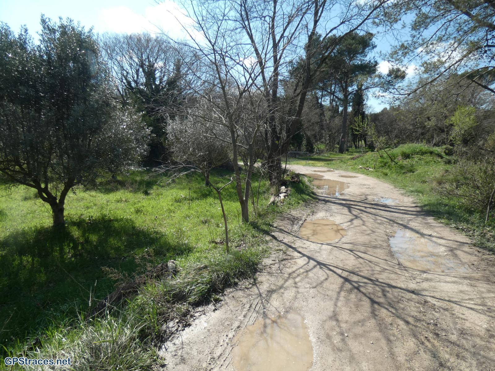 Bouches du Rhône-Alpilles - De Saint Rémy au Romanin–0