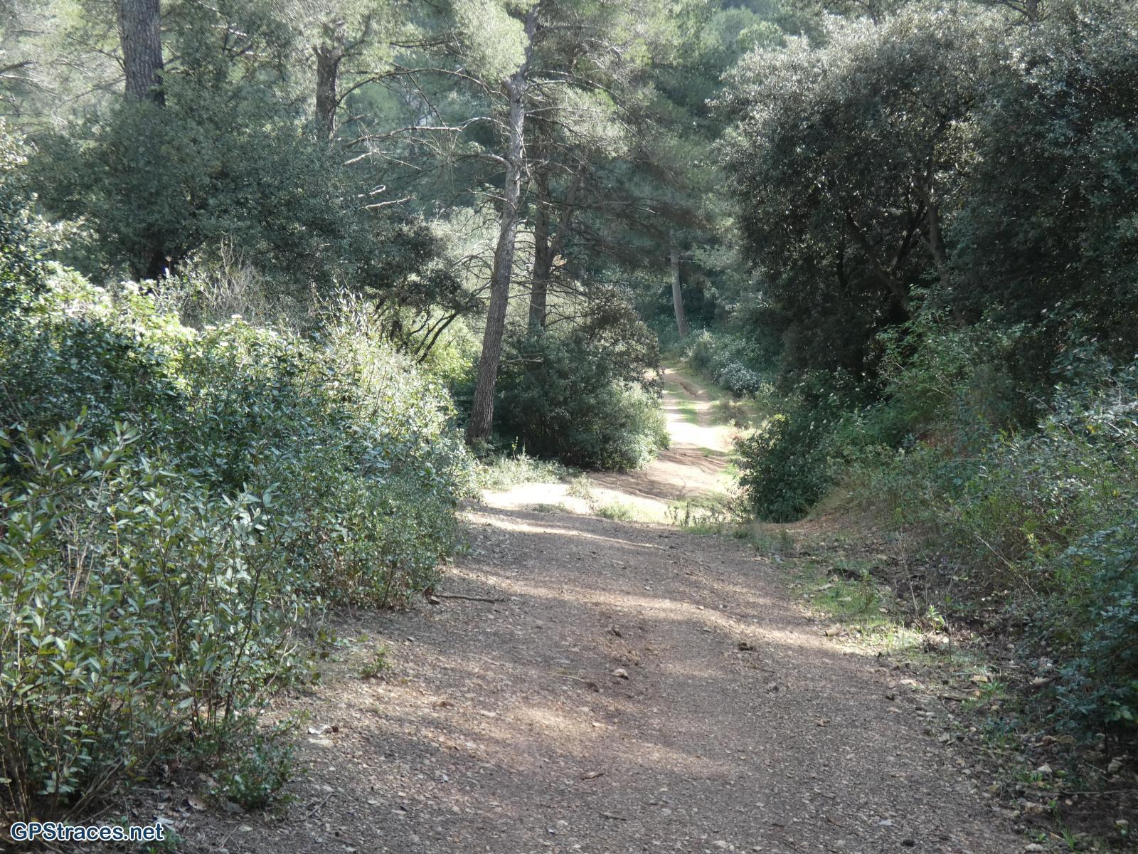 Bouches du Rhône-Alpilles - De Saint Rémy au Romanin–3