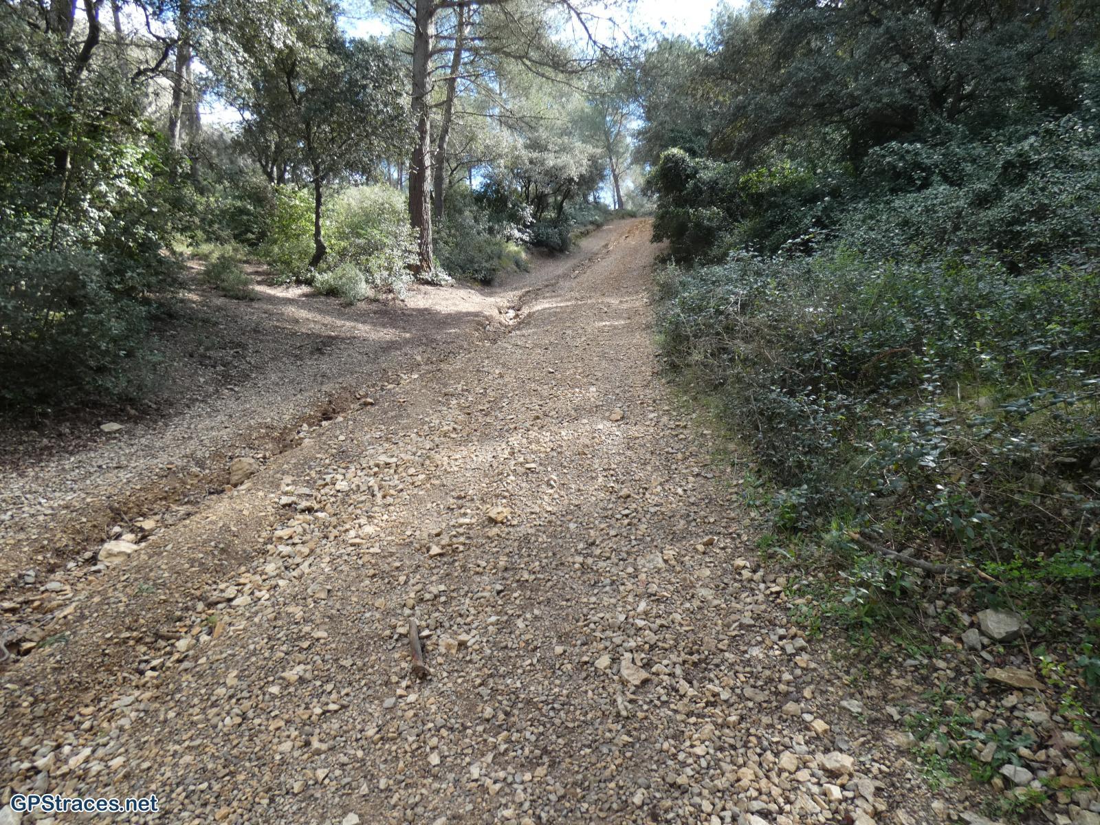 Bouches du Rhône-Alpilles - De Saint Rémy au Romanin–4