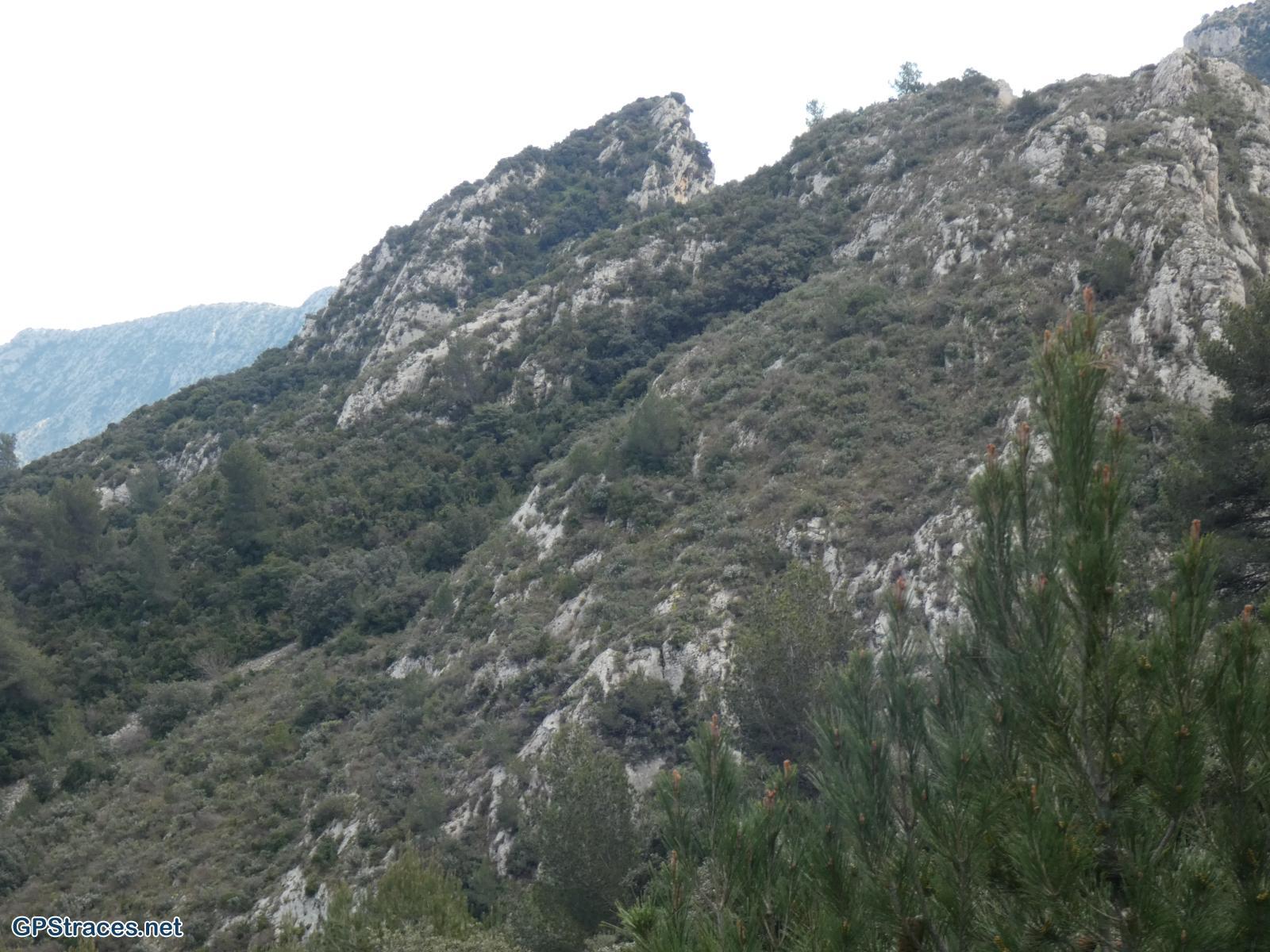 Bouches du Rhône-Alpilles - De Saint Rémy au Romanin–5