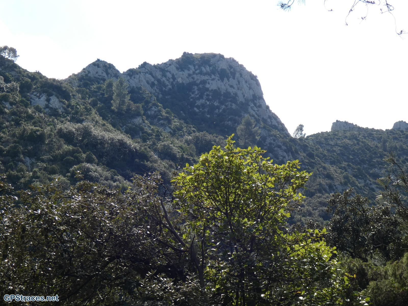 Bouches du Rhône-Alpilles - De Saint Rémy au Romanin–6
