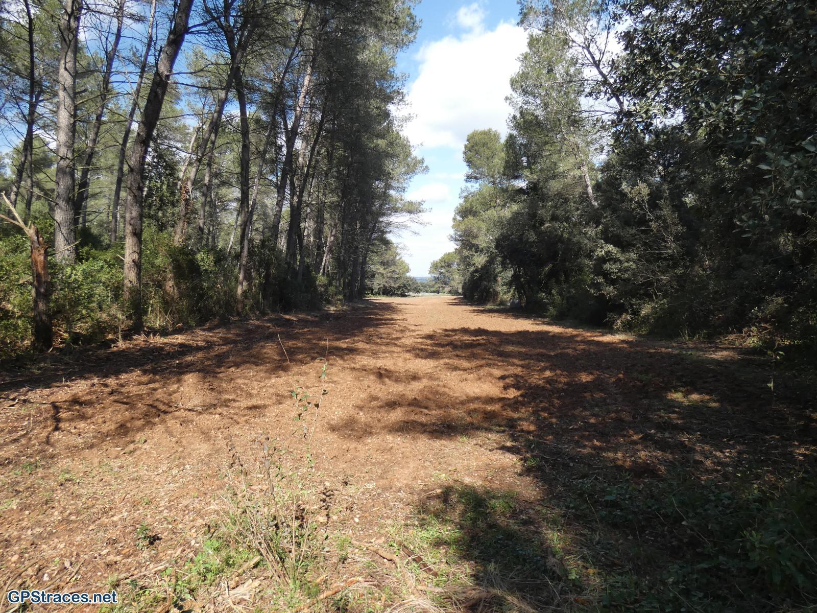 Bouches du Rhône-Alpilles - De Saint Rémy au Romanin–8