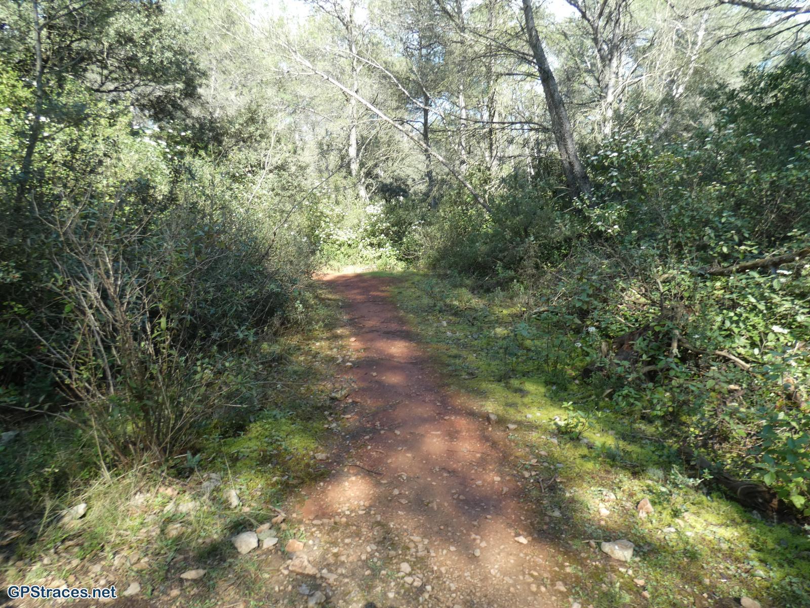 Bouches du Rhône-Alpilles - De Saint Rémy au Romanin–10