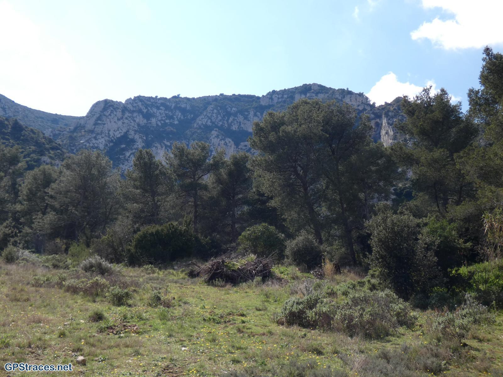 Bouches du Rhône-Alpilles - De Saint Rémy au Romanin–11