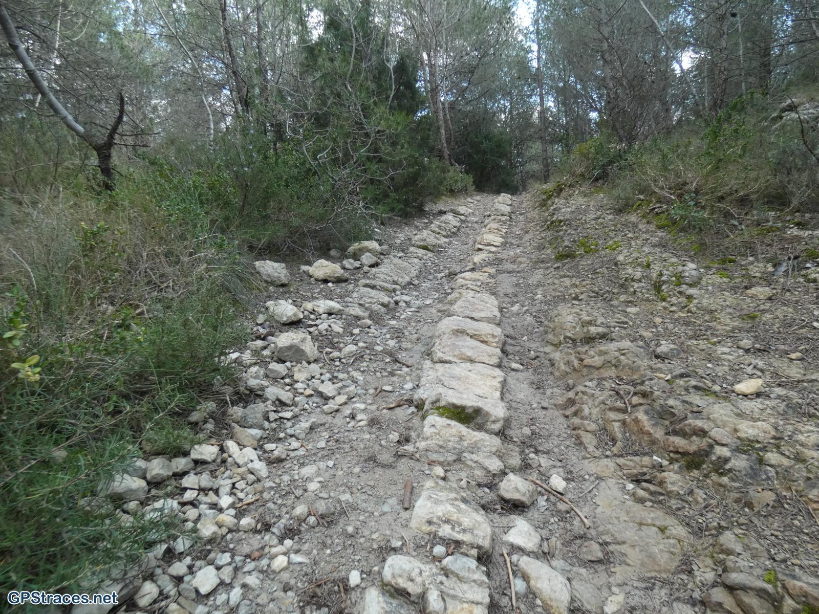 Bouches du Rhône-Alpilles - De Saint Rémy au Romanin–13