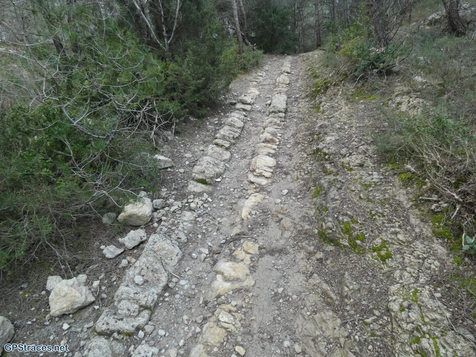 Bouches du Rhône-Alpilles - De Saint Rémy au Romanin–14