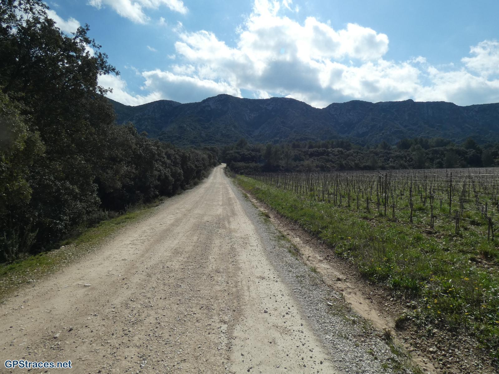 Bouches du Rhône-Alpilles - De Saint Rémy au Romanin–15
