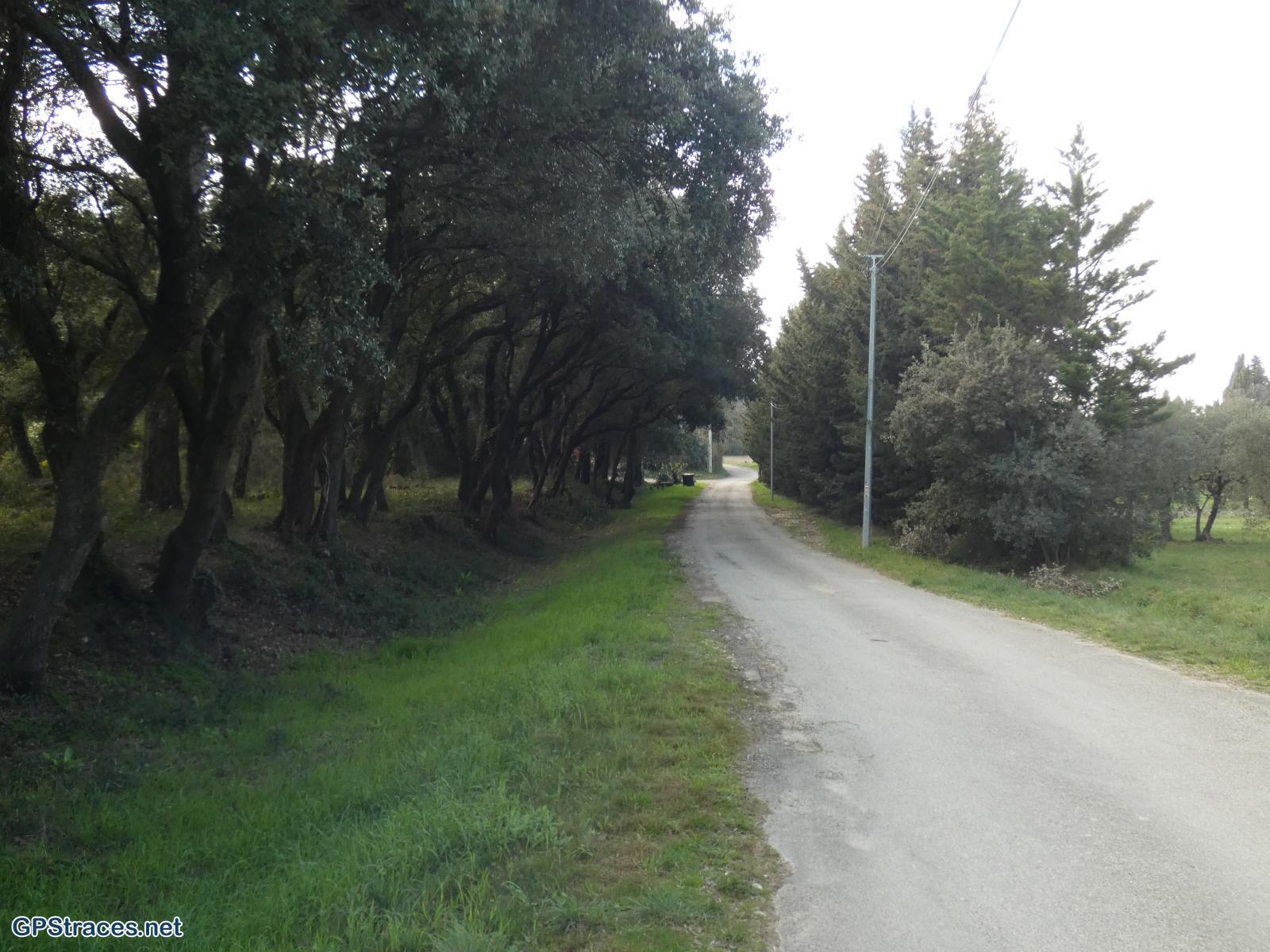 Bouches du Rhône-Alpilles - De Saint Rémy au Romanin–21