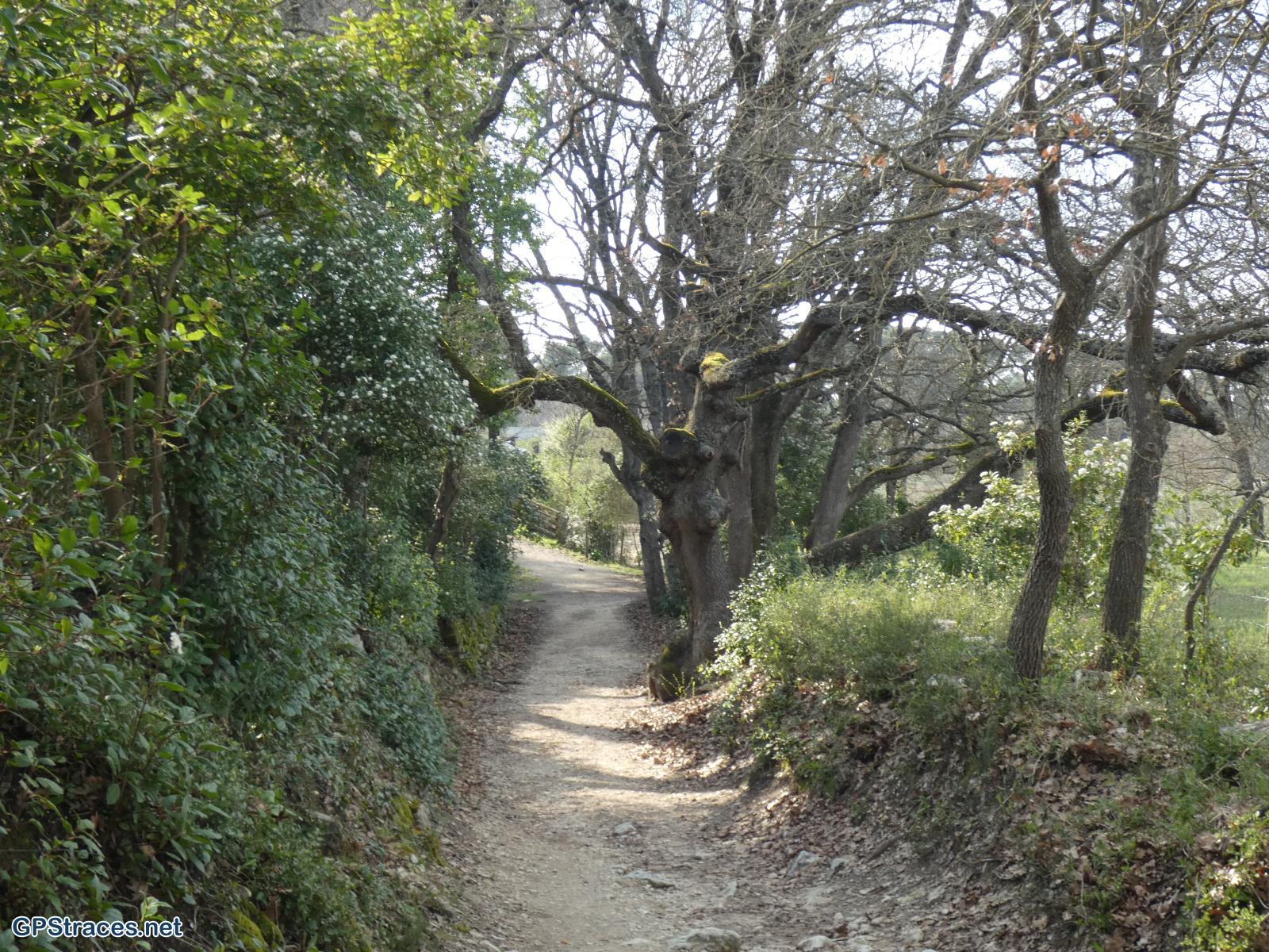 Bouches du Rhône-Alpilles - De Saint Rémy au Romanin–22