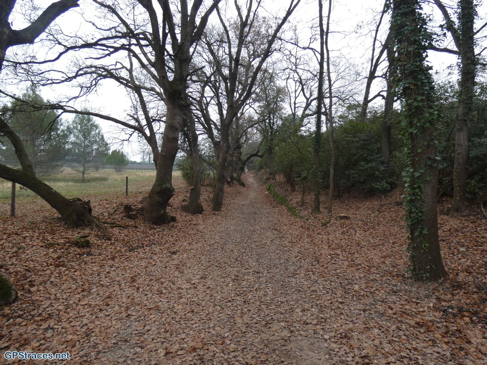 Bouches du Rhône-Alpilles - Saint-Rémy - La Caume - Lac du Peirou–1