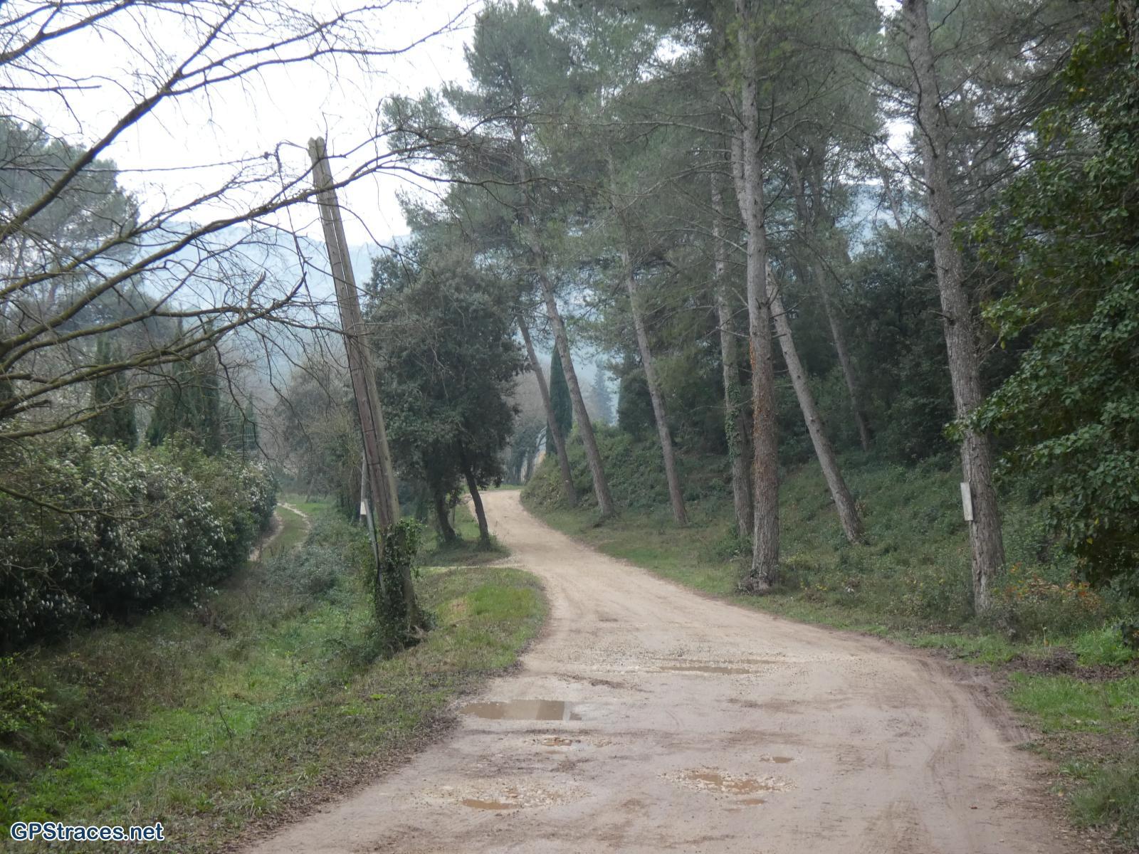 Bouches du Rhône-Alpilles - Saint-Rémy - La Caume - Lac du Peirou–3