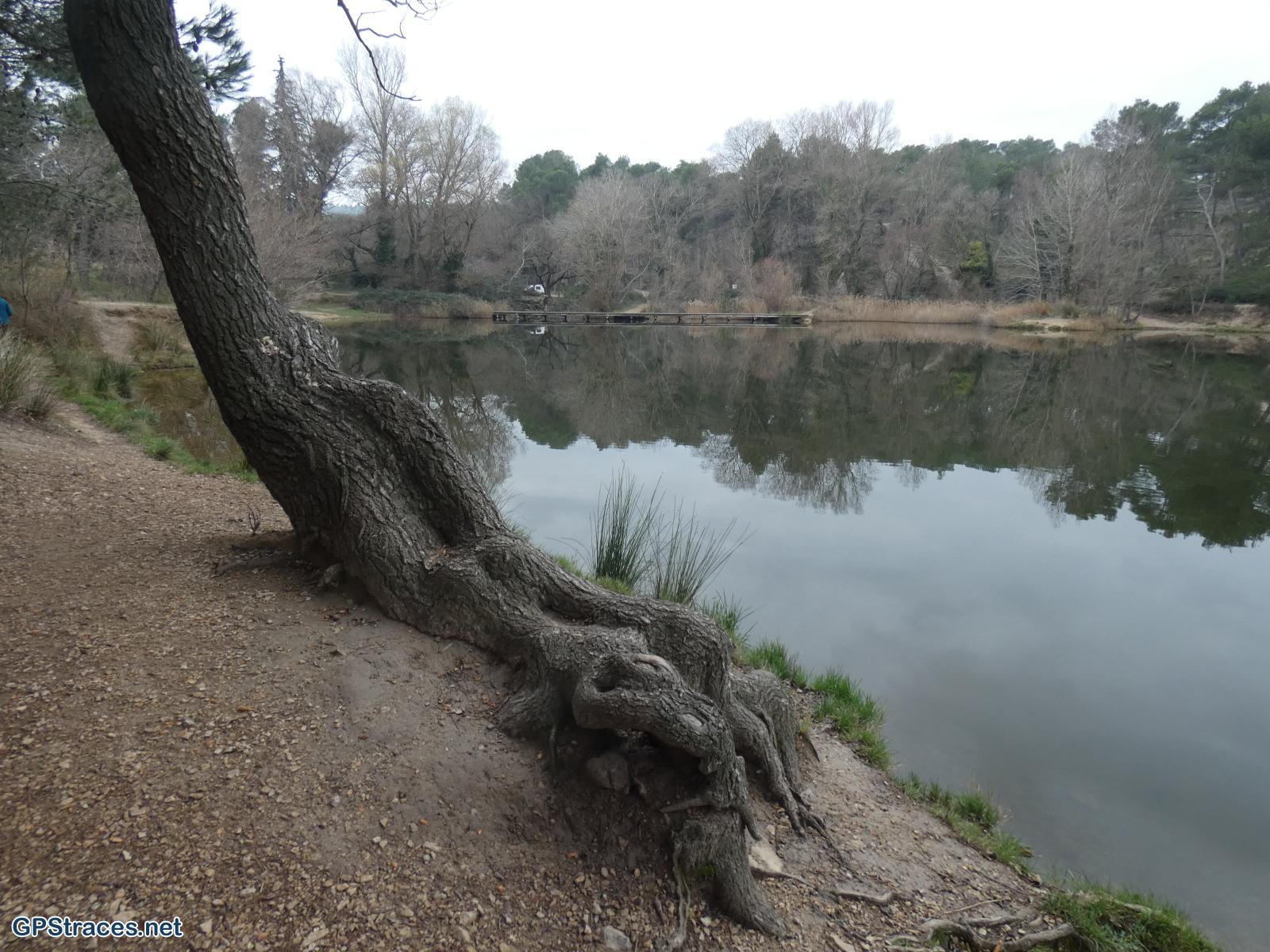 Bouches du Rhône-Alpilles - Saint-Rémy - La Caume - Lac du Peirou–16