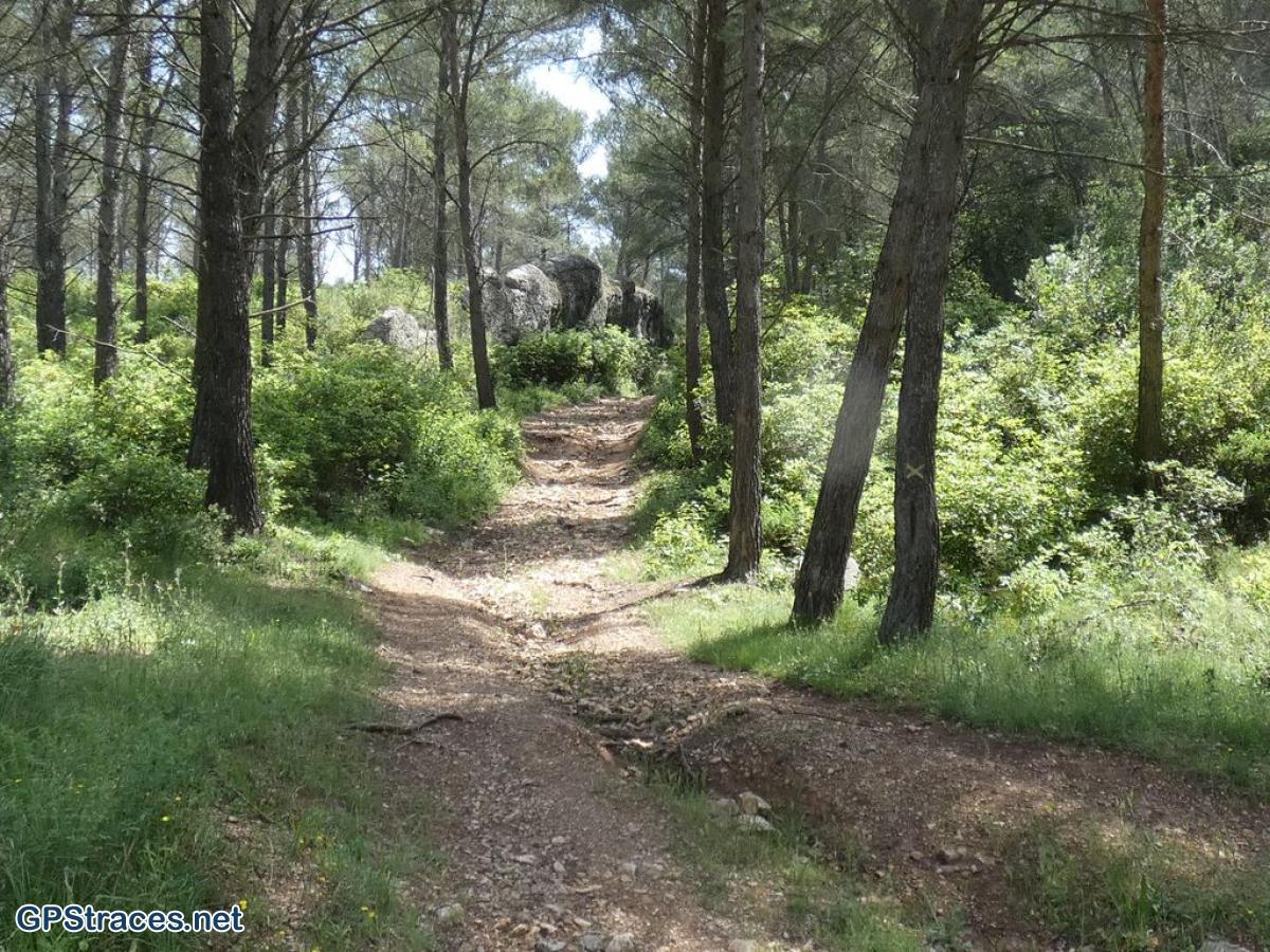 Bouches du Rhône-Alpilles - Saint-Rémy - Chemin des échelles–3