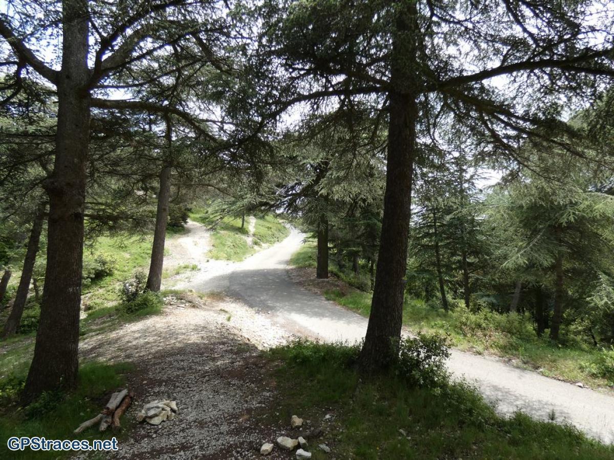 Bouches du Rhône-Alpilles - Saint-Rémy - Chemin des échelles–10