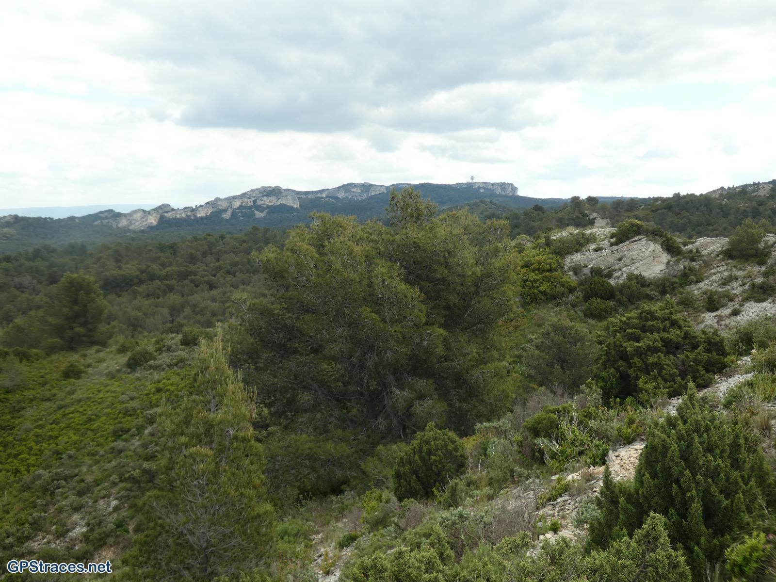 Bouches du Rhône-Alpilles - Tour de guet - Valmouriane–1