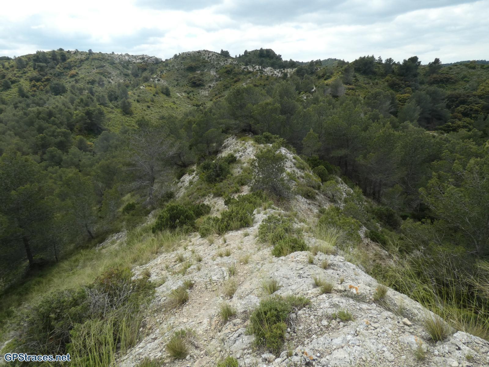 Bouches du Rhône-Alpilles - Tour de guet - Valmouriane–2