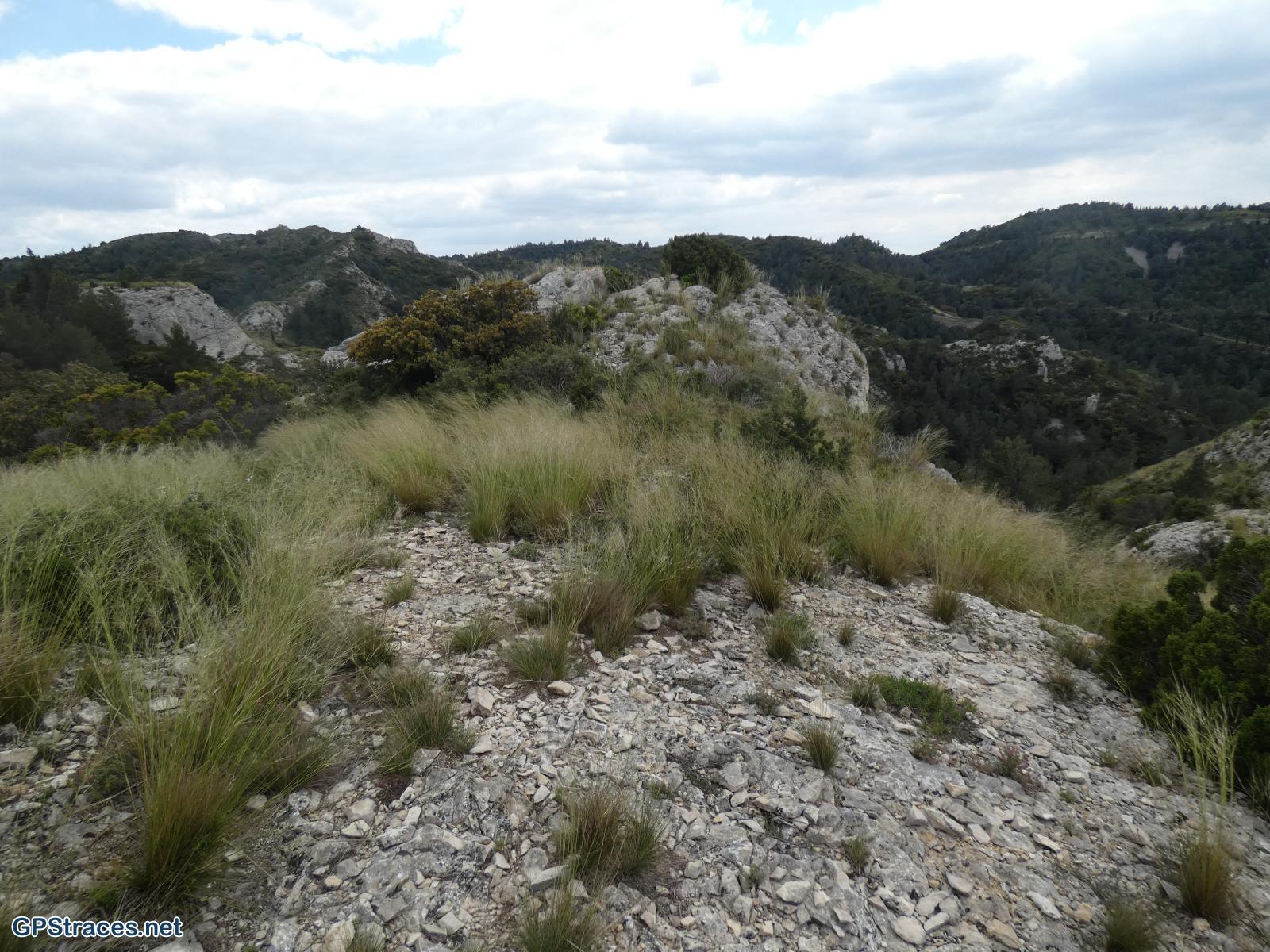 Bouches du Rhône-Alpilles - Tour de guet - Valmouriane–3