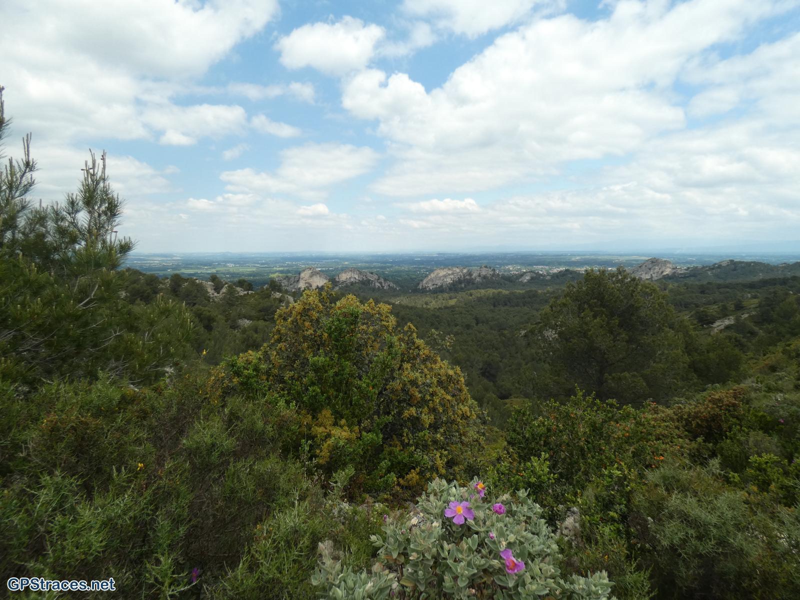 Bouches du Rhône-Alpilles - Tour de guet - Valmouriane–6