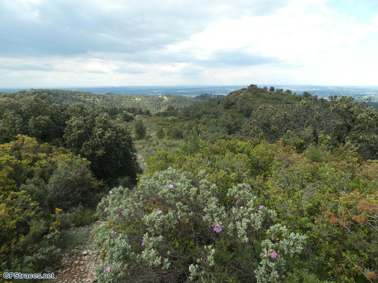 Bouches du Rhône-Alpilles - Tour de guet - Valmouriane–11