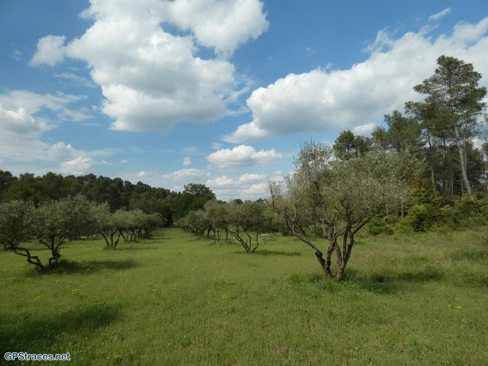 Bouches du Rhône-Alpilles - Tour de guet - Valmouriane–15