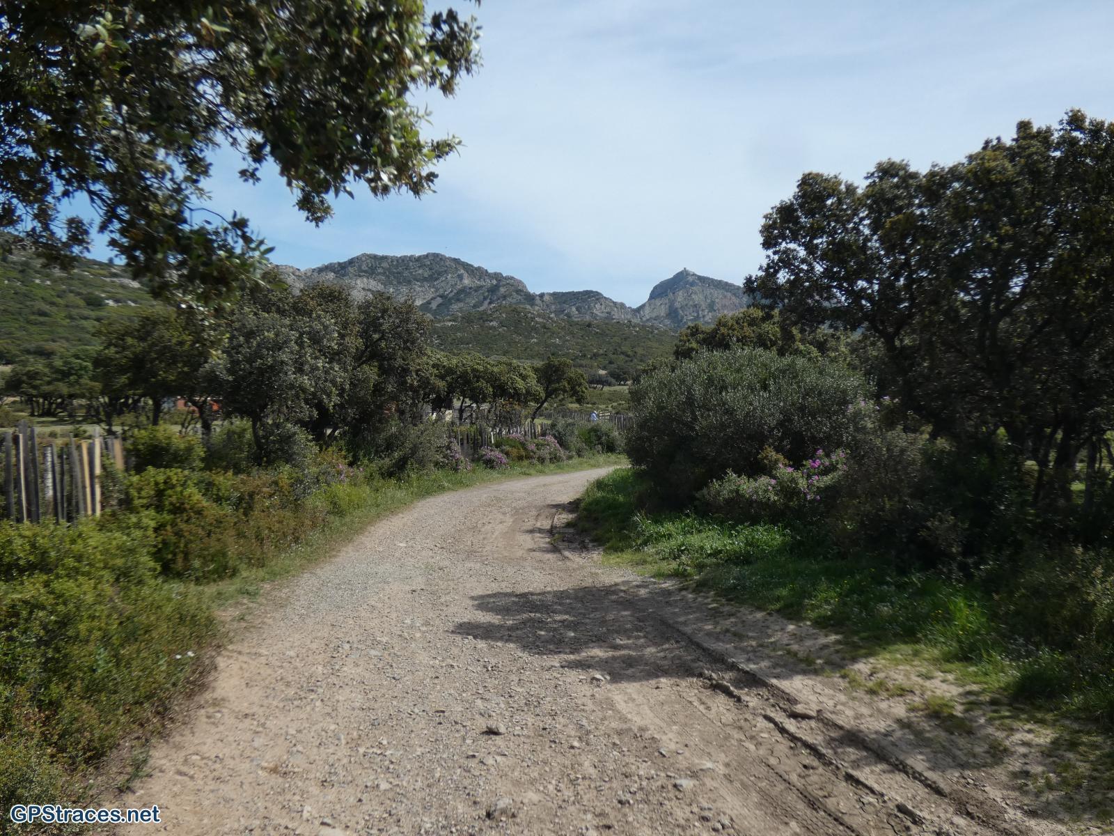 Bouches du Rhône-Alpilles - Tour des Opies - Crête de Civadières est–2