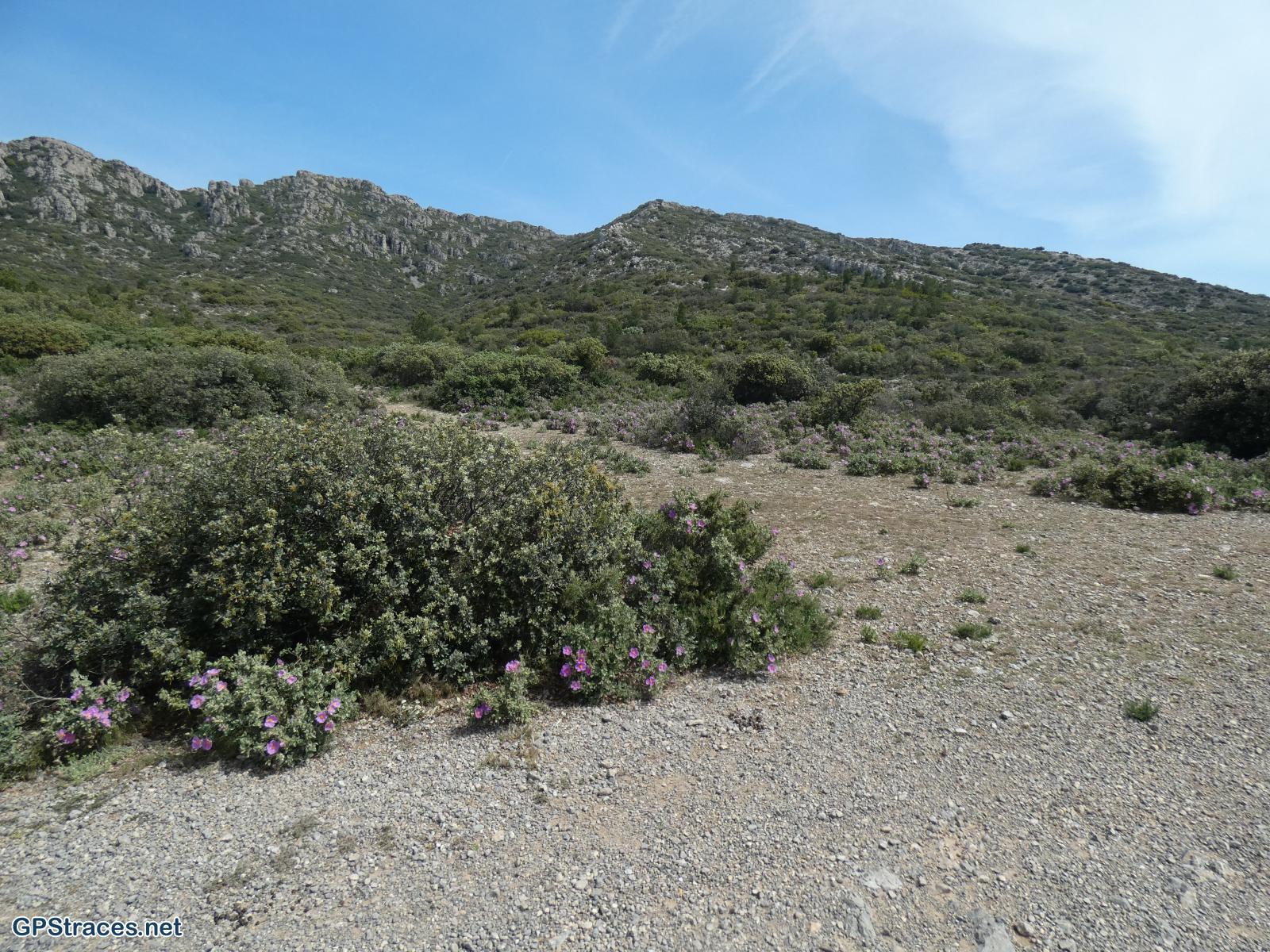 Bouches du Rhône-Alpilles - Tour des Opies - Crête de Civadières est–5