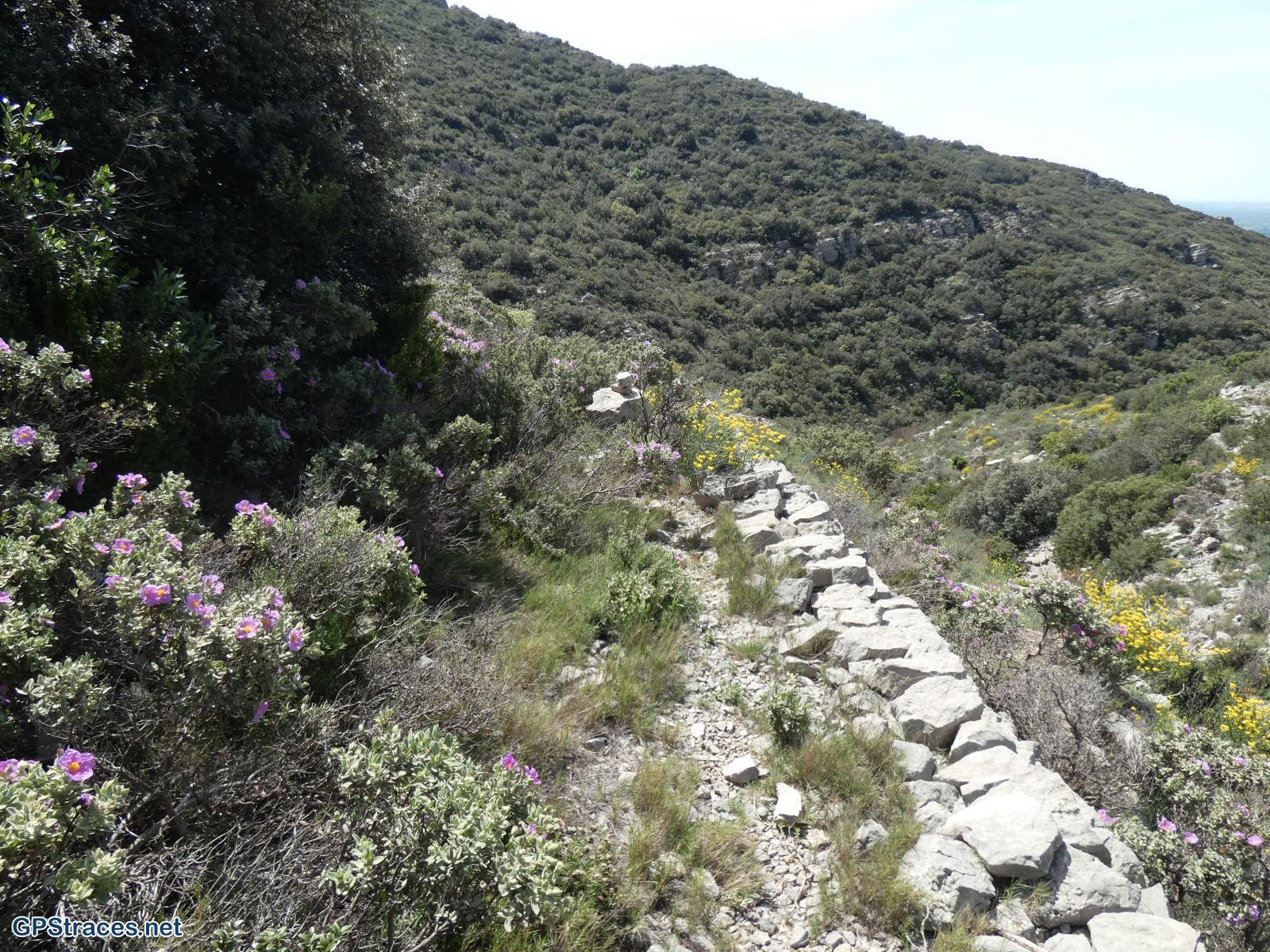 Bouches du Rhône-Alpilles - Tour des Opies - Crête de Civadières est–10