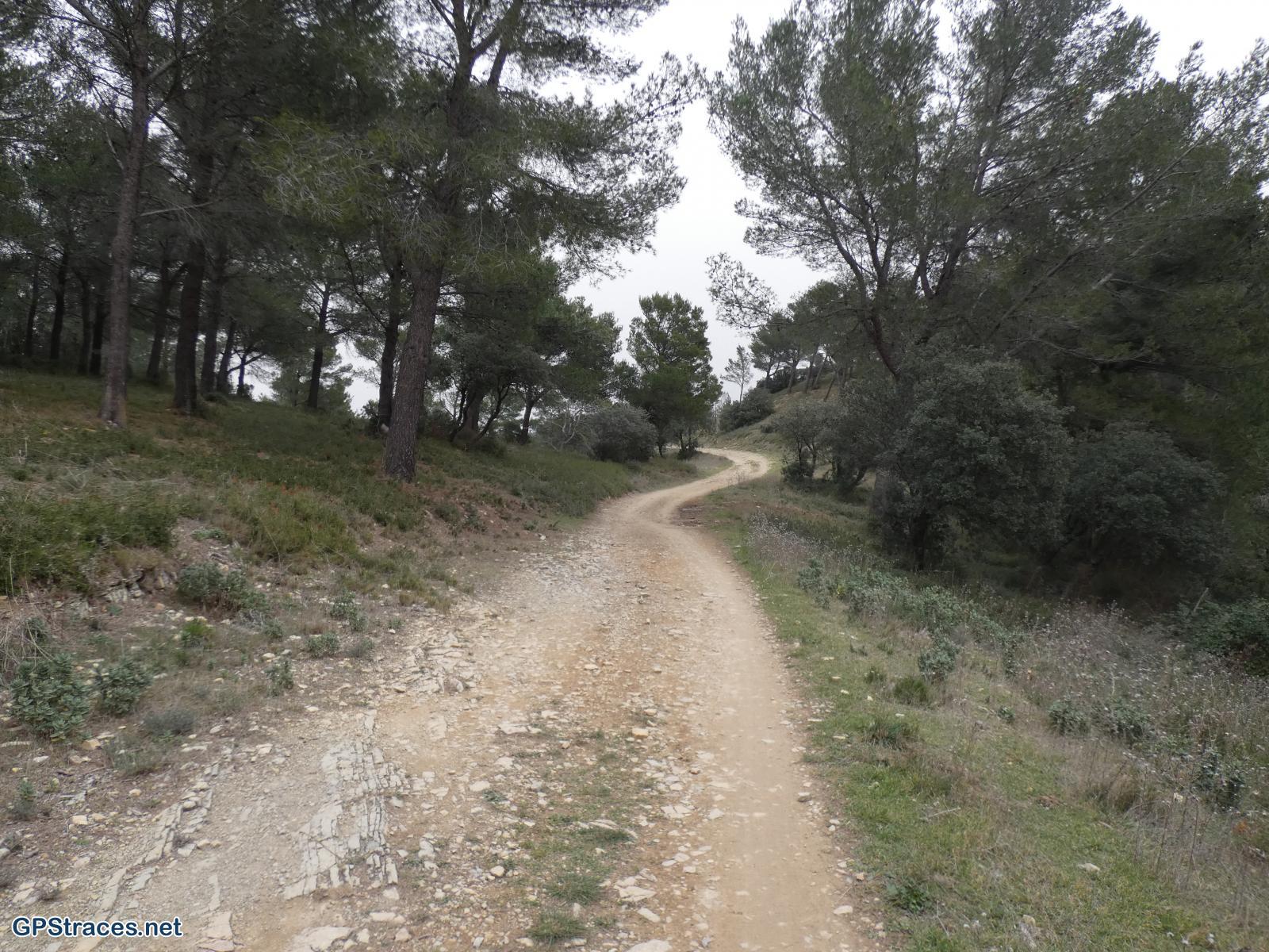 Bouches du Rhône-Alpilles - Les Traversières - Baux-de-Provence–0