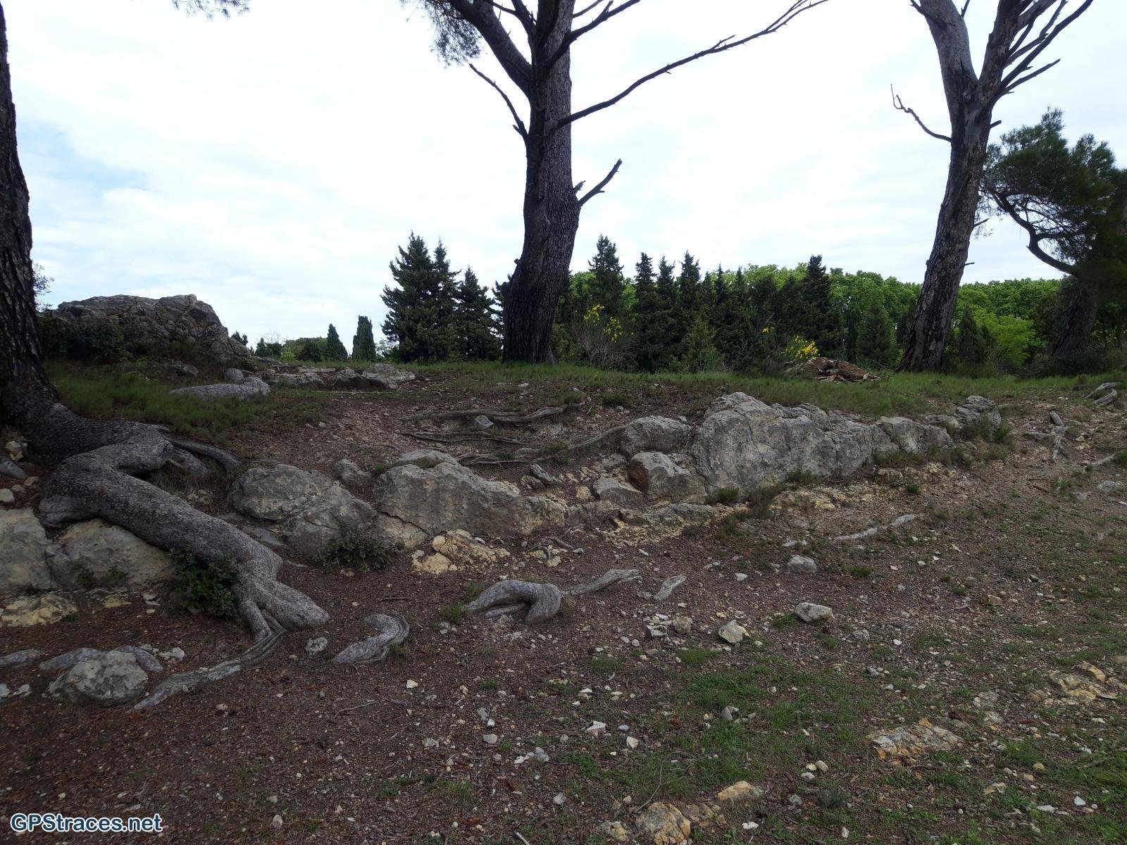 Bouches du Rhône-Alpilles - Vallée des Baux de Provence–4