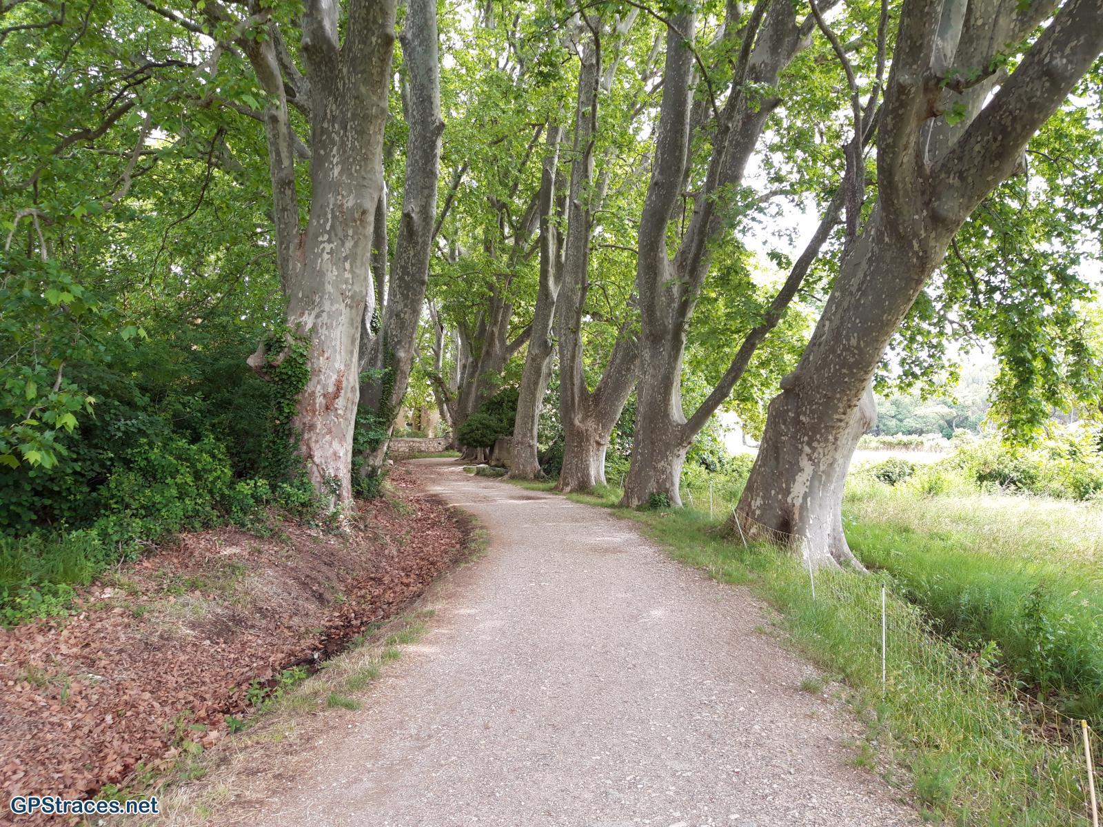 Bouches du Rhône-Alpilles - Vallée des Baux de Provence–6