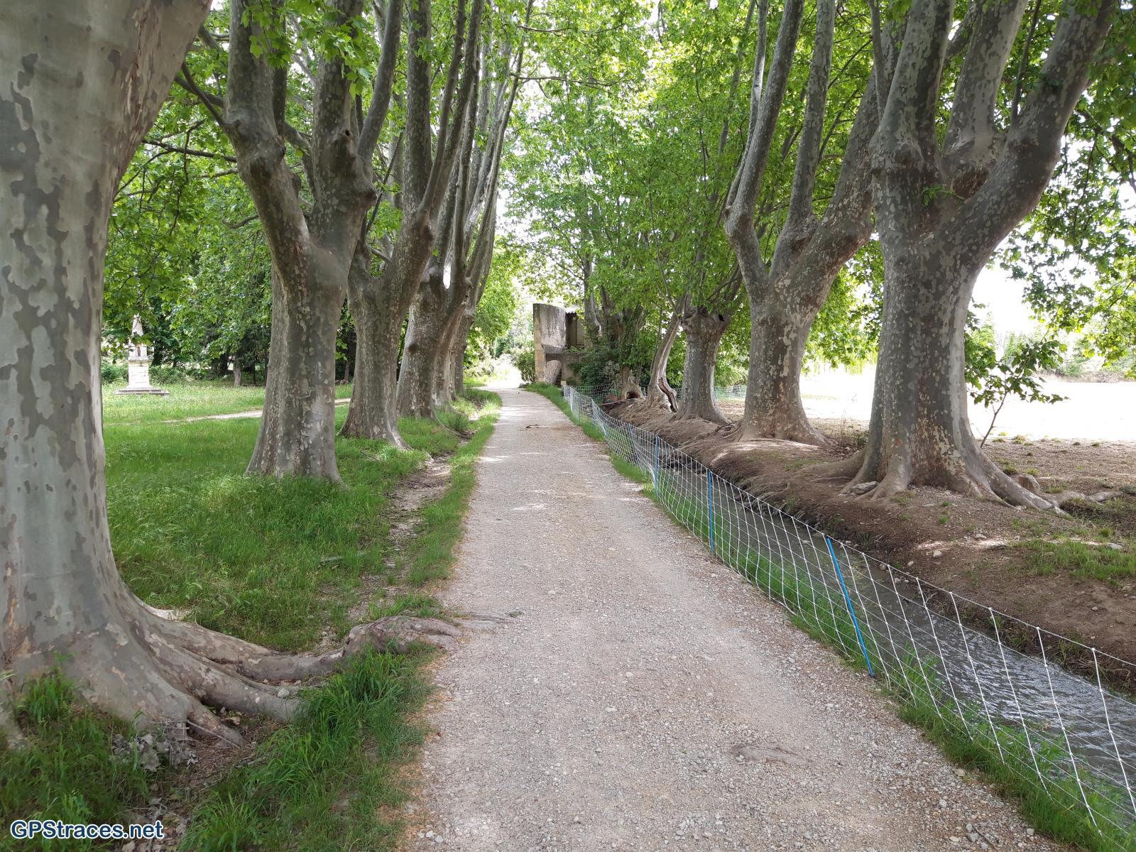 Bouches du Rhône-Alpilles - Vallée des Baux de Provence–9